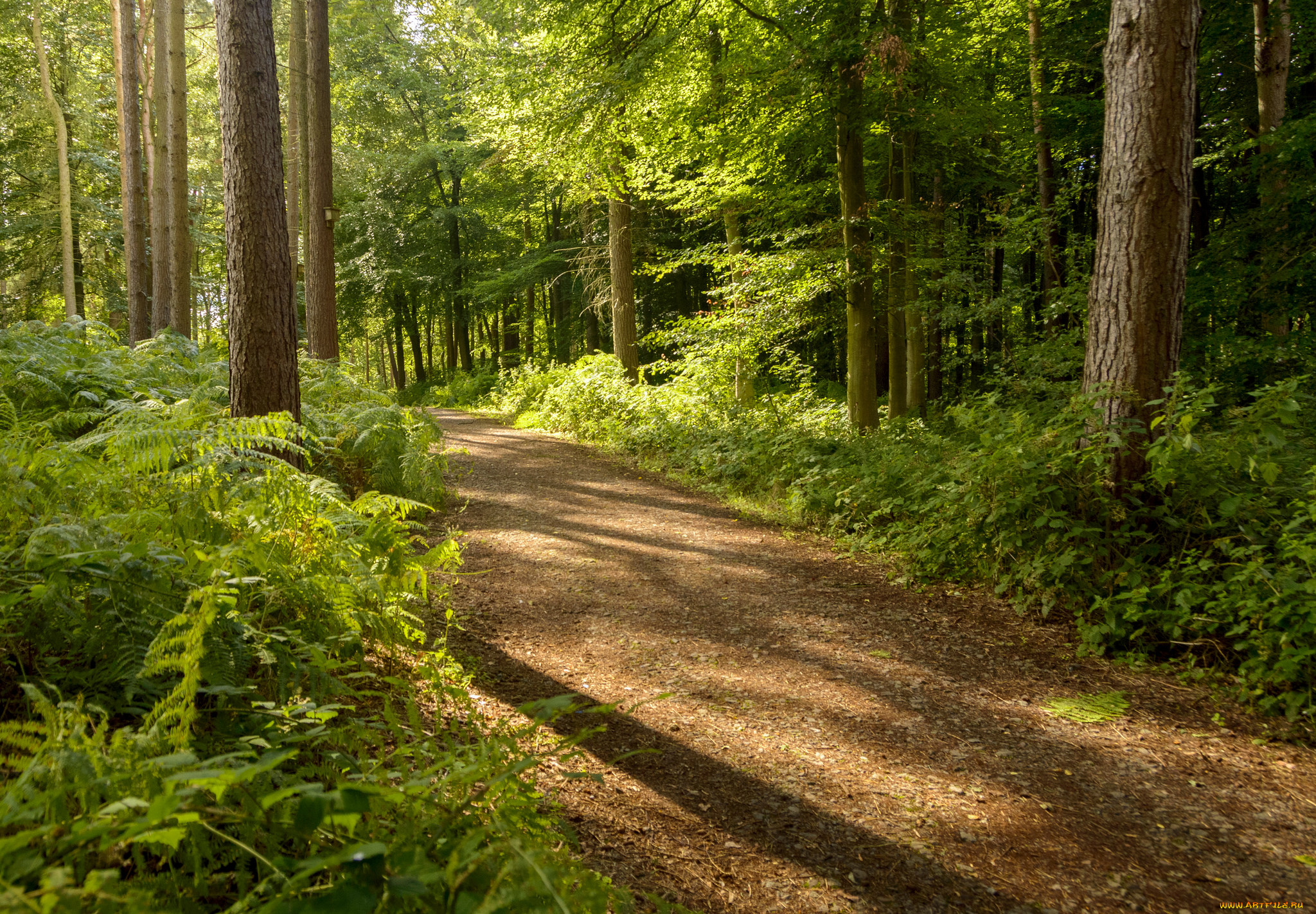 природа, дороги, простор