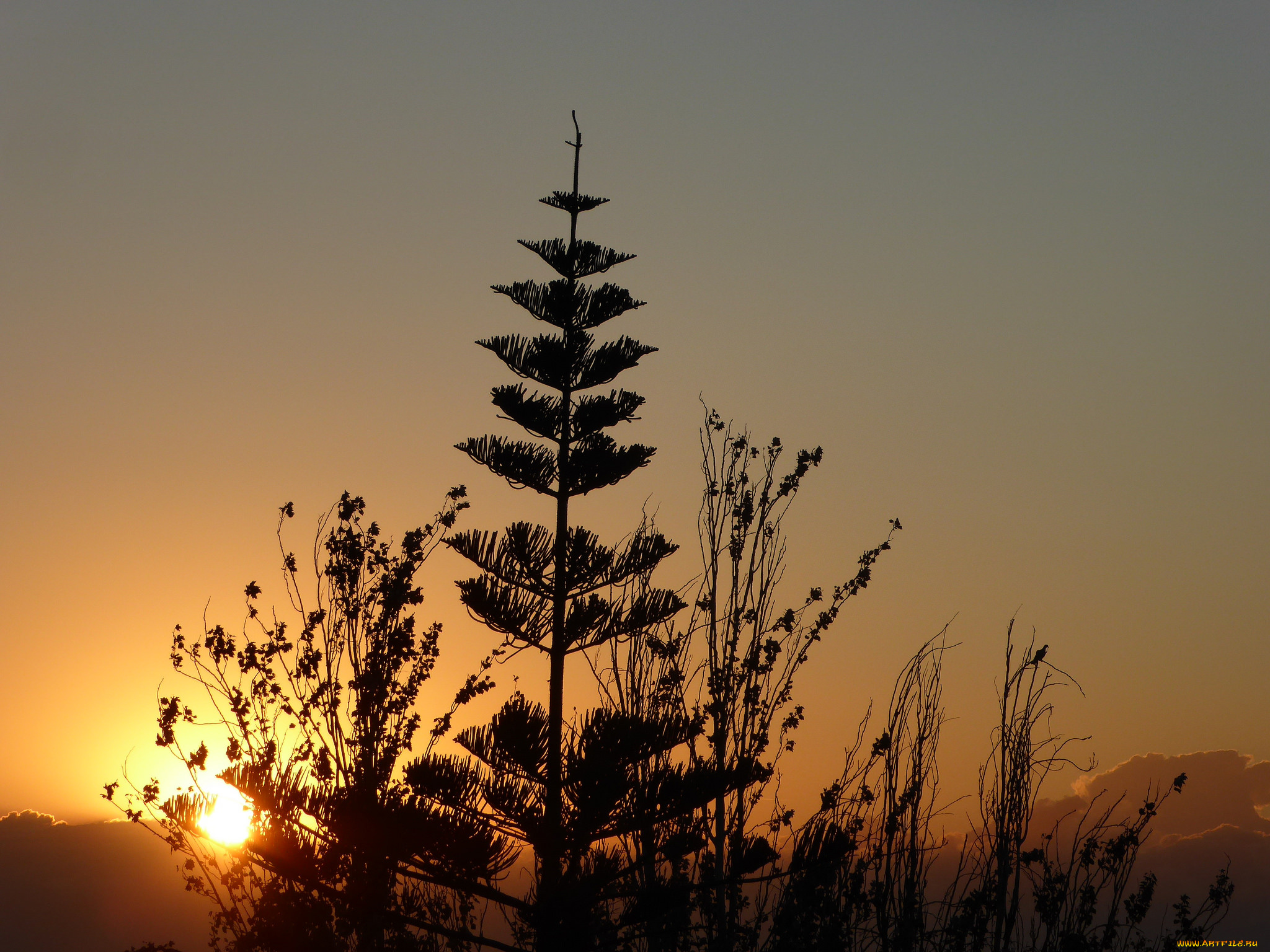 природа, восходы, закаты, простор