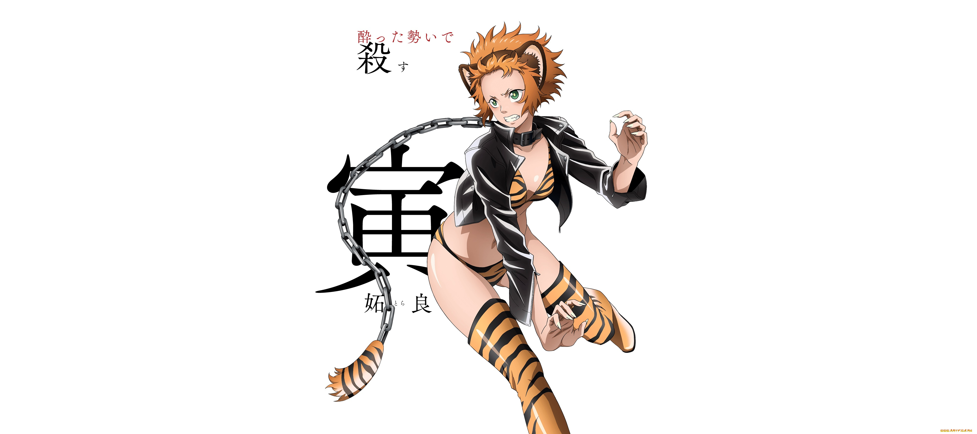 аниме, juuni, taisen, juuni, taisen