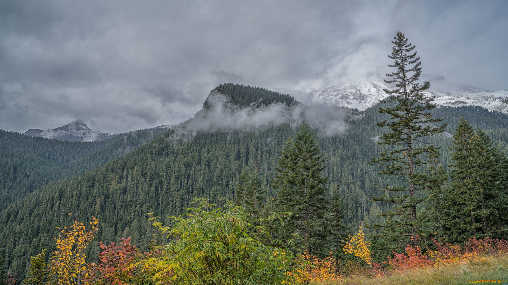 природа, горы, простор