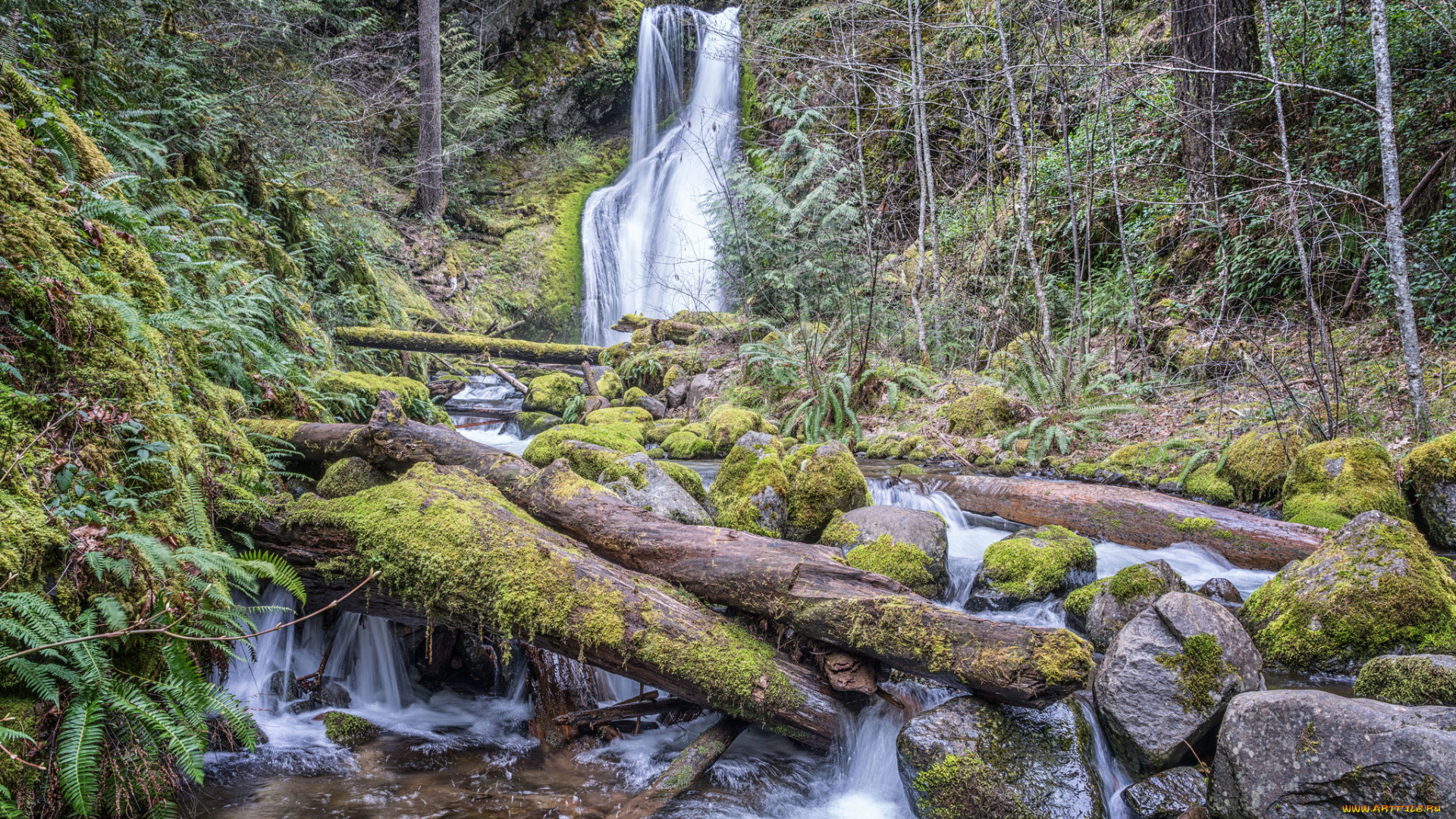 природа, реки, озера, простор