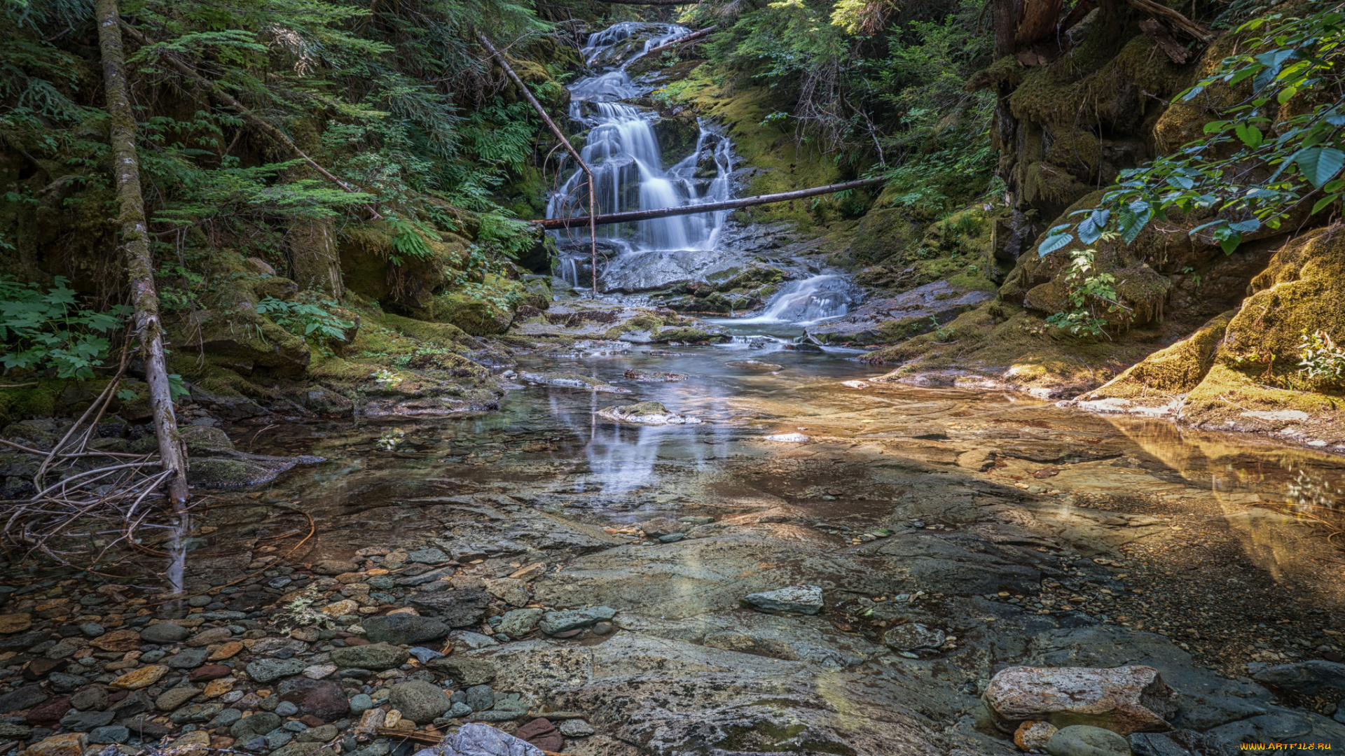 природа, реки, озера, простор