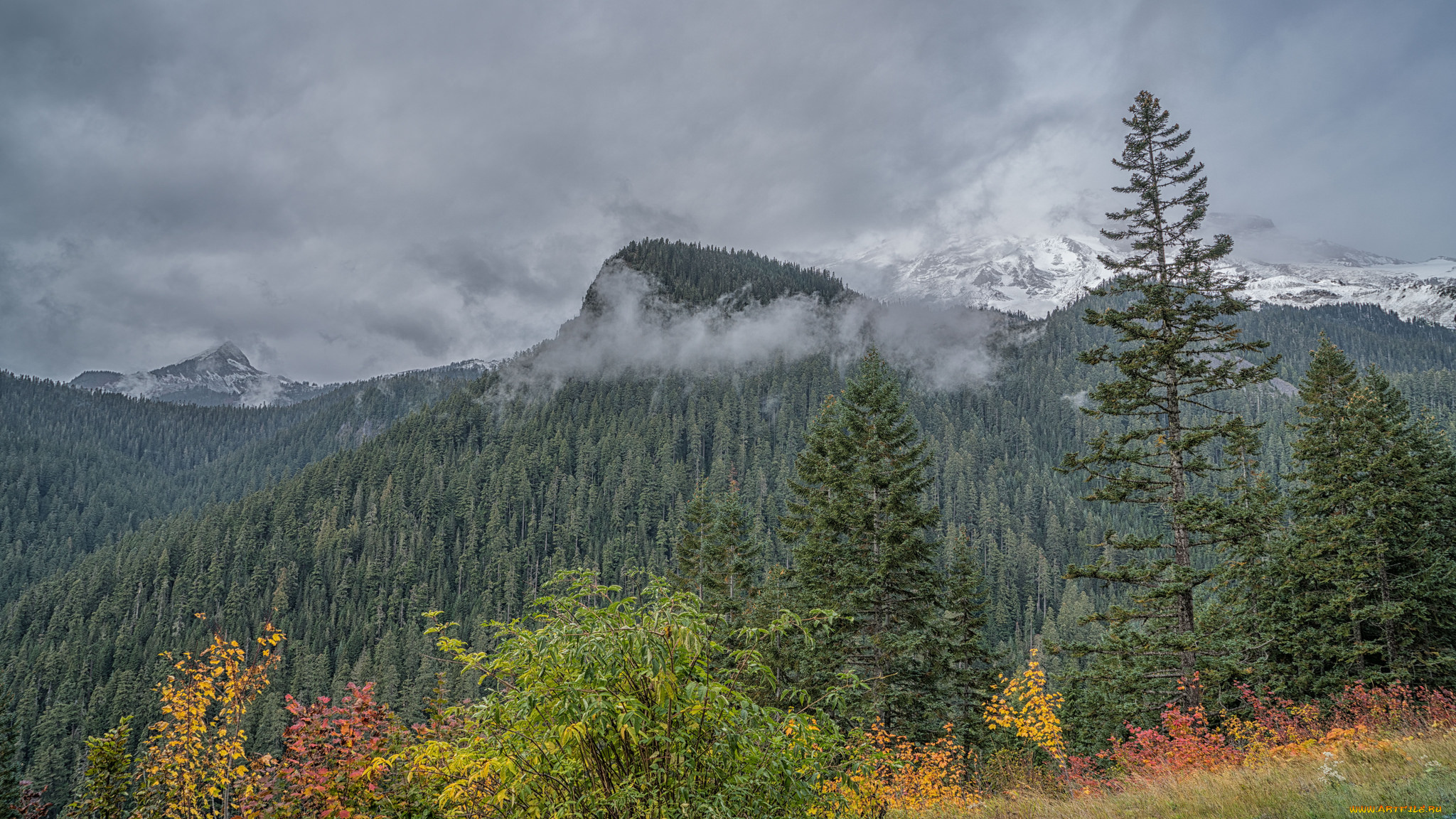 природа, горы, простор