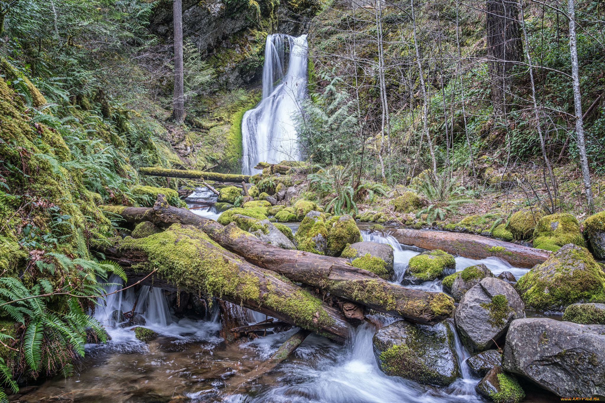 природа, реки, озера, простор