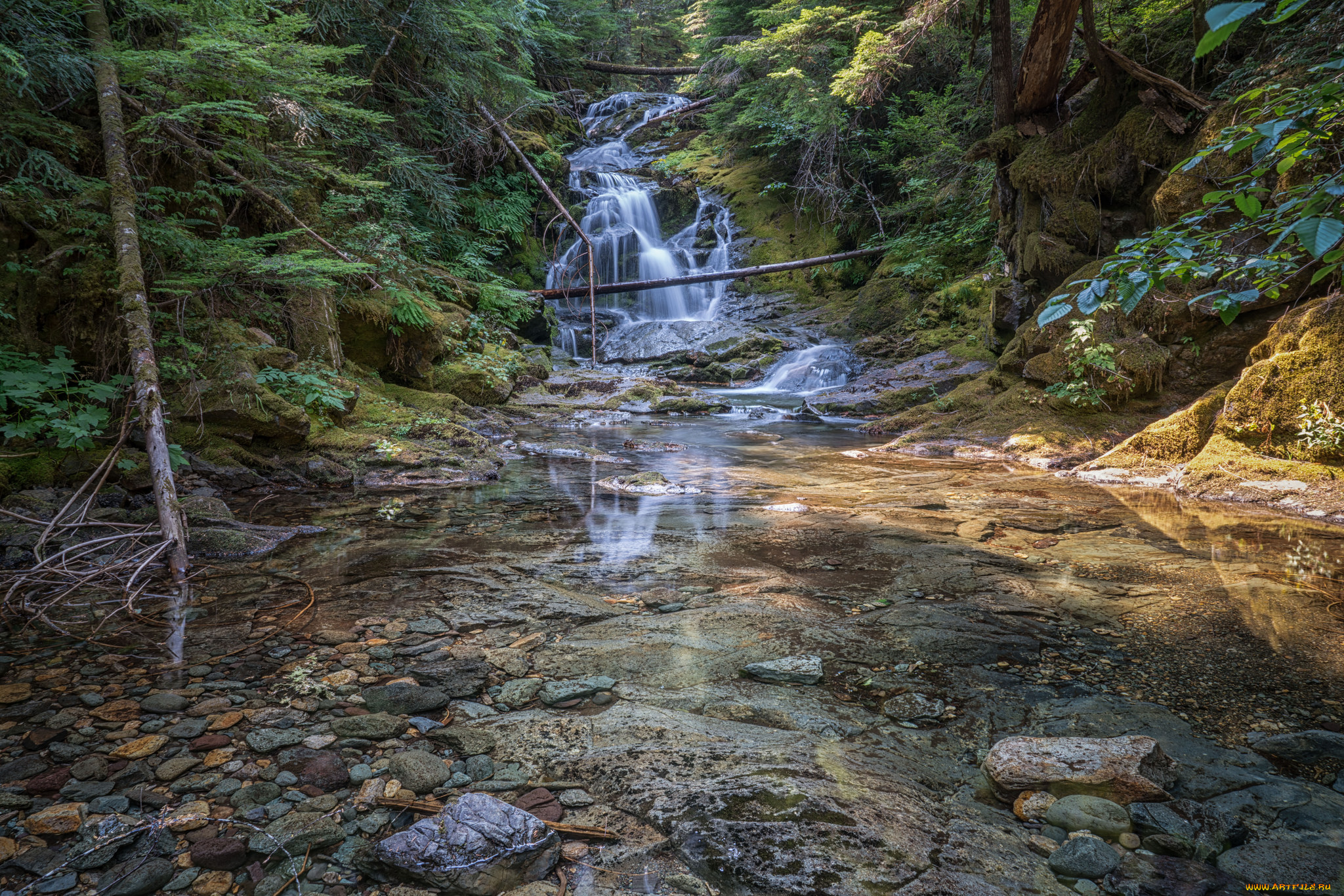 природа, реки, озера, простор