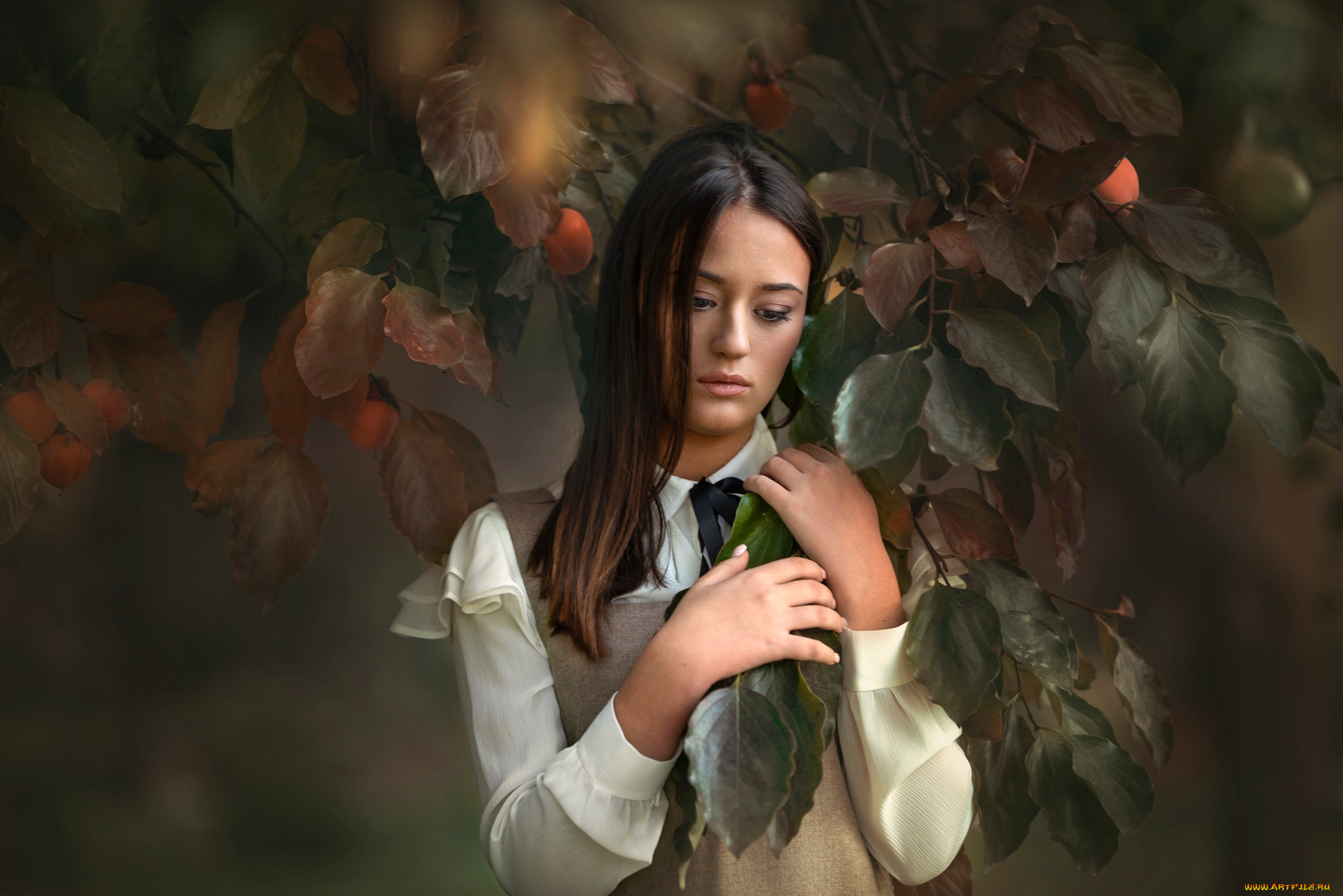 девушка, девушки, -unsort, , брюнетки, темноволосые, модель