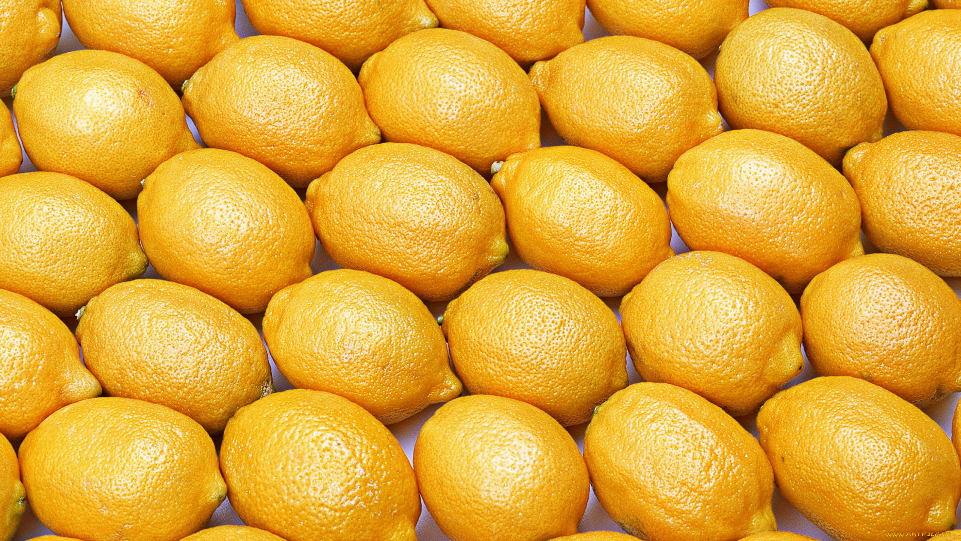 еда, цитрусы, лимоны