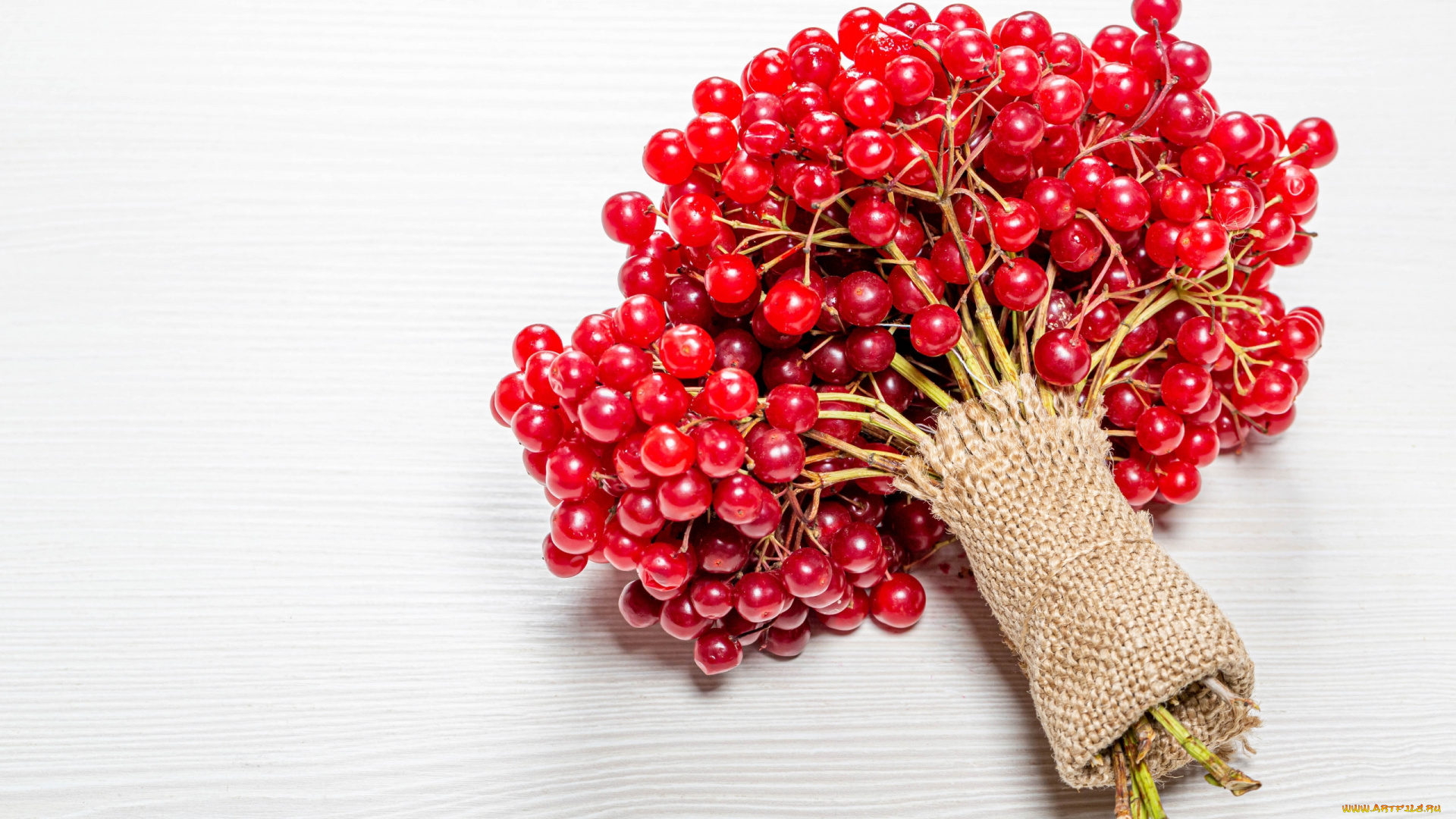 еда, фрукты, , ягоды, калина