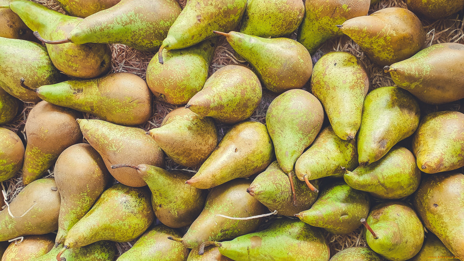 еда, груши, много, фрукты