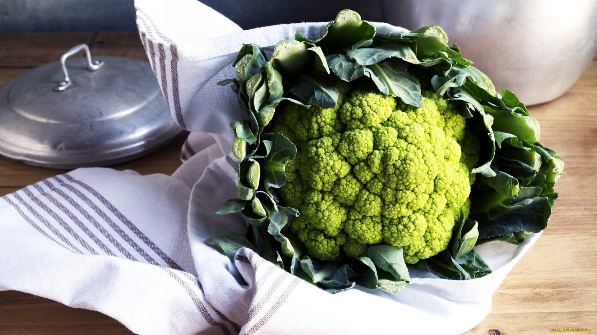 еда, капуста, и, её, разновидности, кочан, капуста, цветная