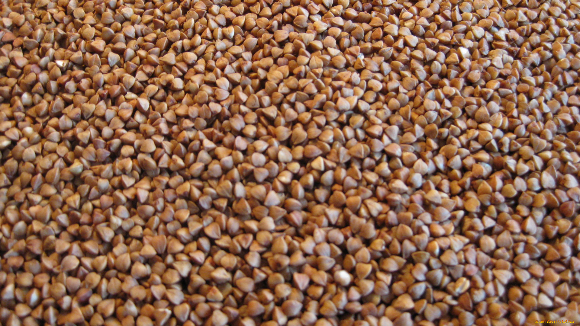 еда, крупы, , зерно, , специи, , семечки, гречка