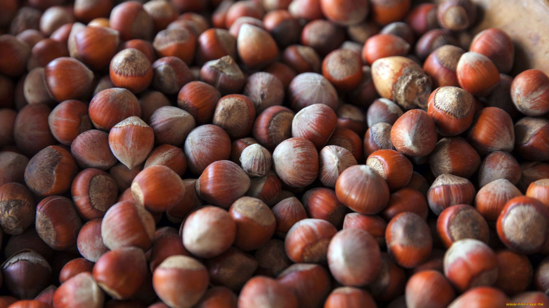 еда, орехи, , каштаны, , какао-бобы, фундук