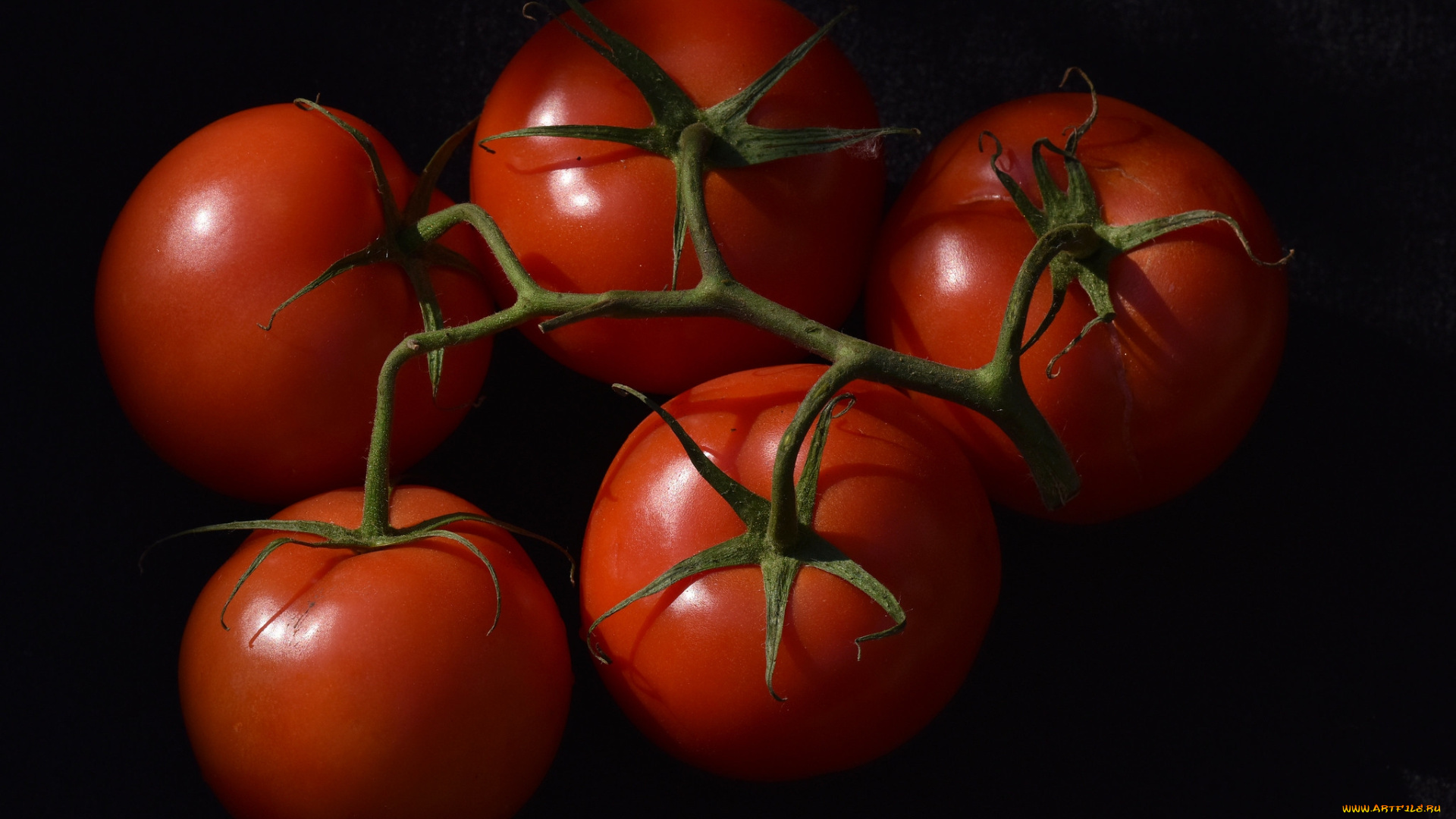 еда, помидоры, снедь