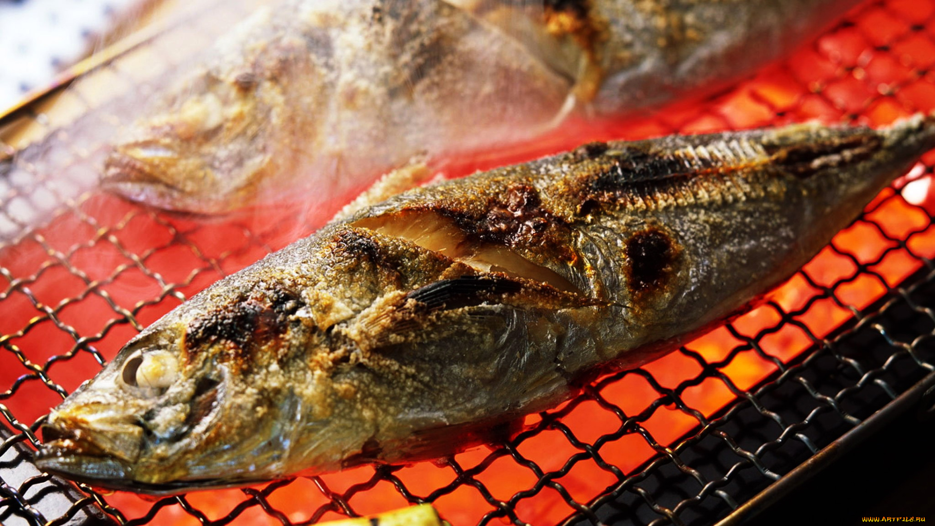 еда, рыбные, блюда, , с, морепродуктами, рыба