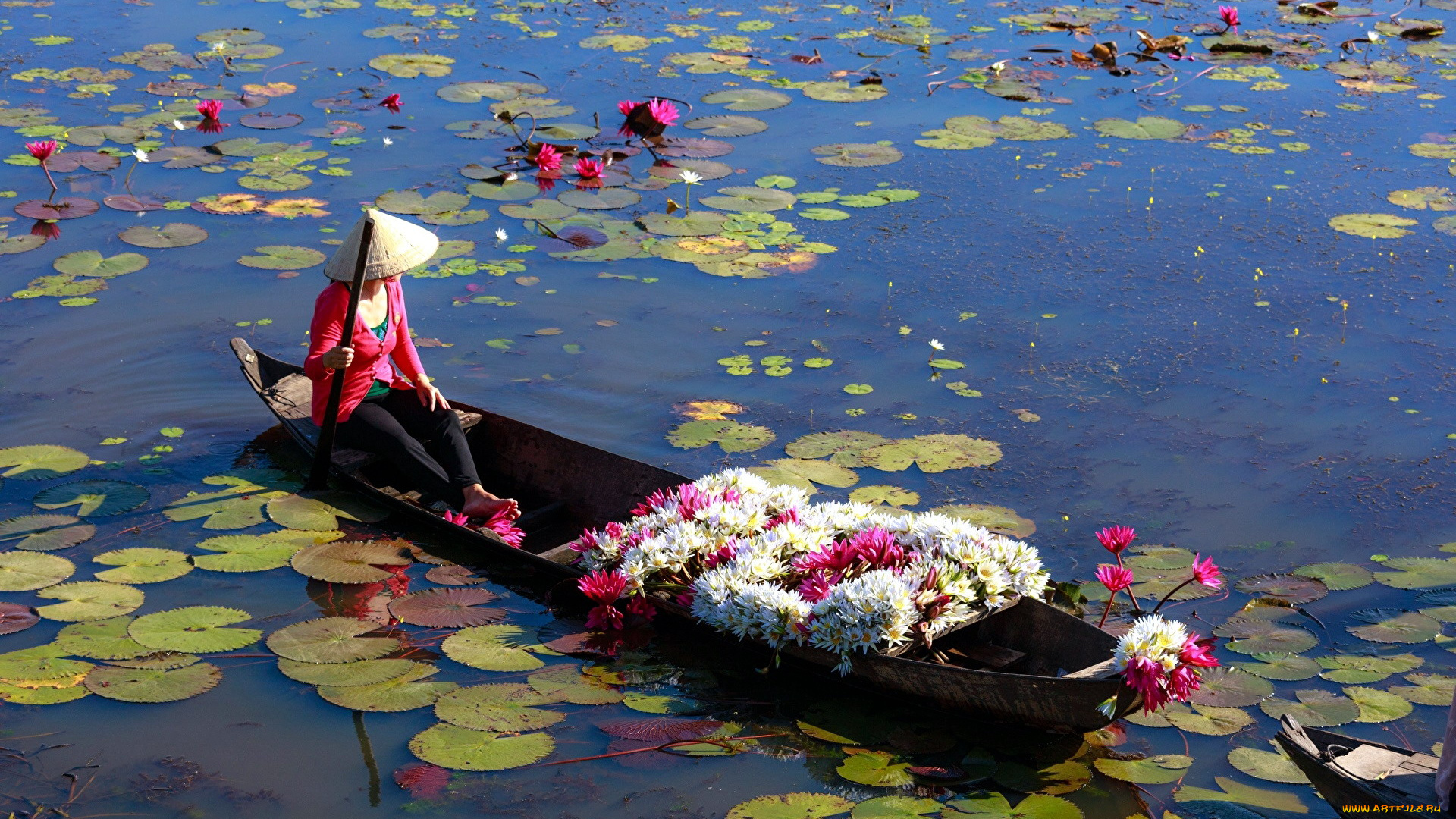 корабли, лодки, , шлюпки, лодка, лотосы
