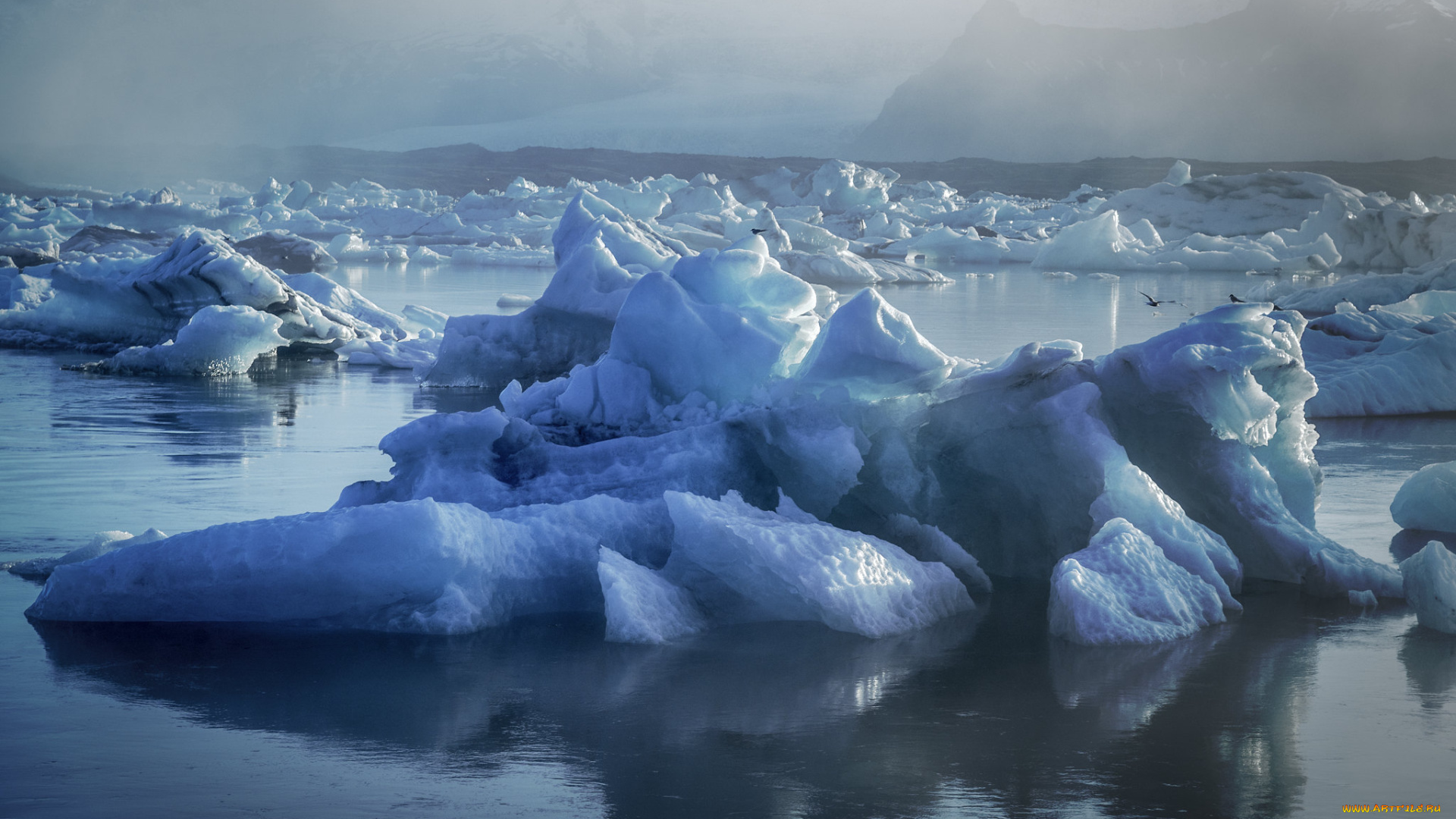 природа, айсберги, и, ледники, простор