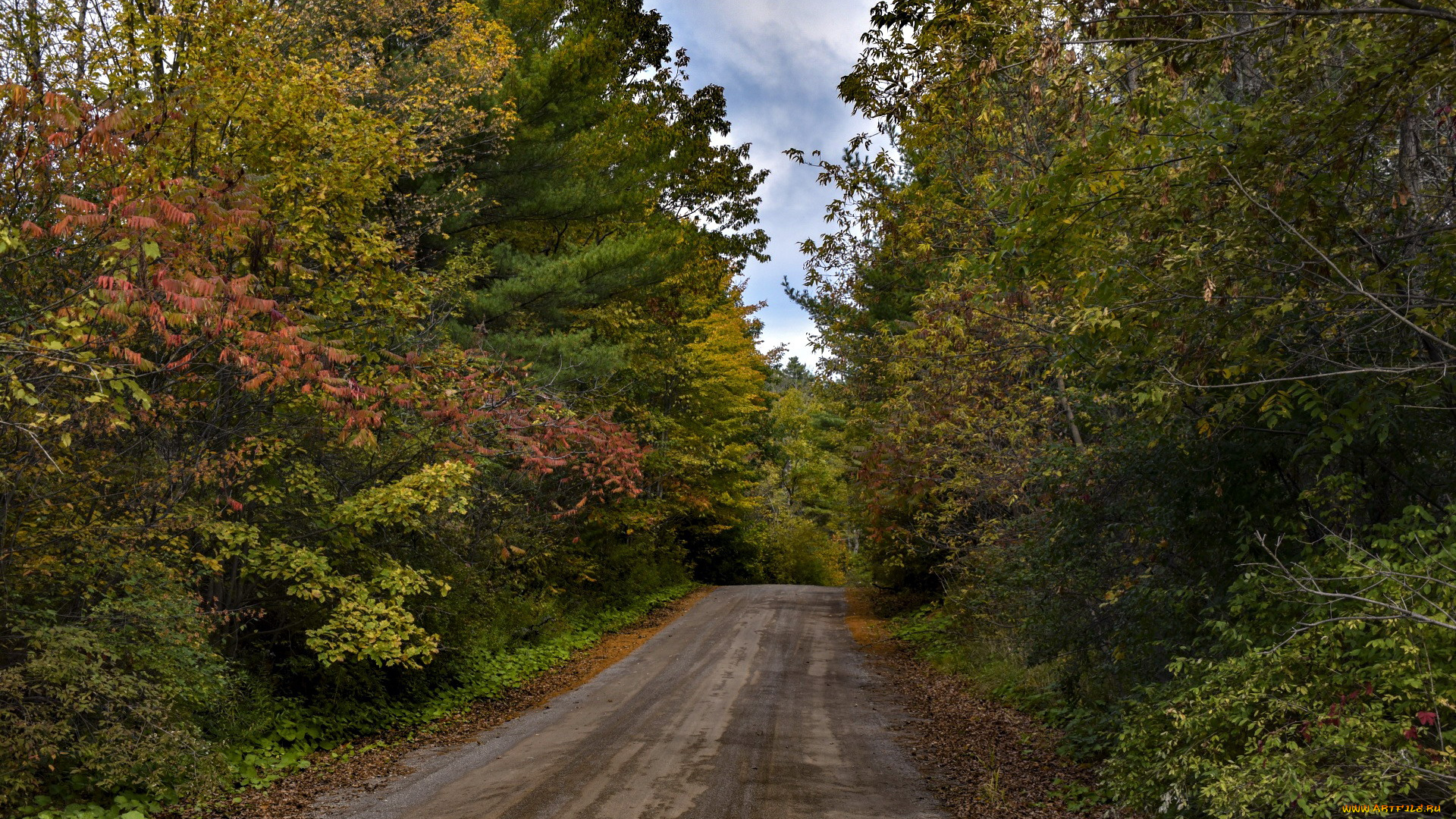 природа, дороги, дорога, проселочная