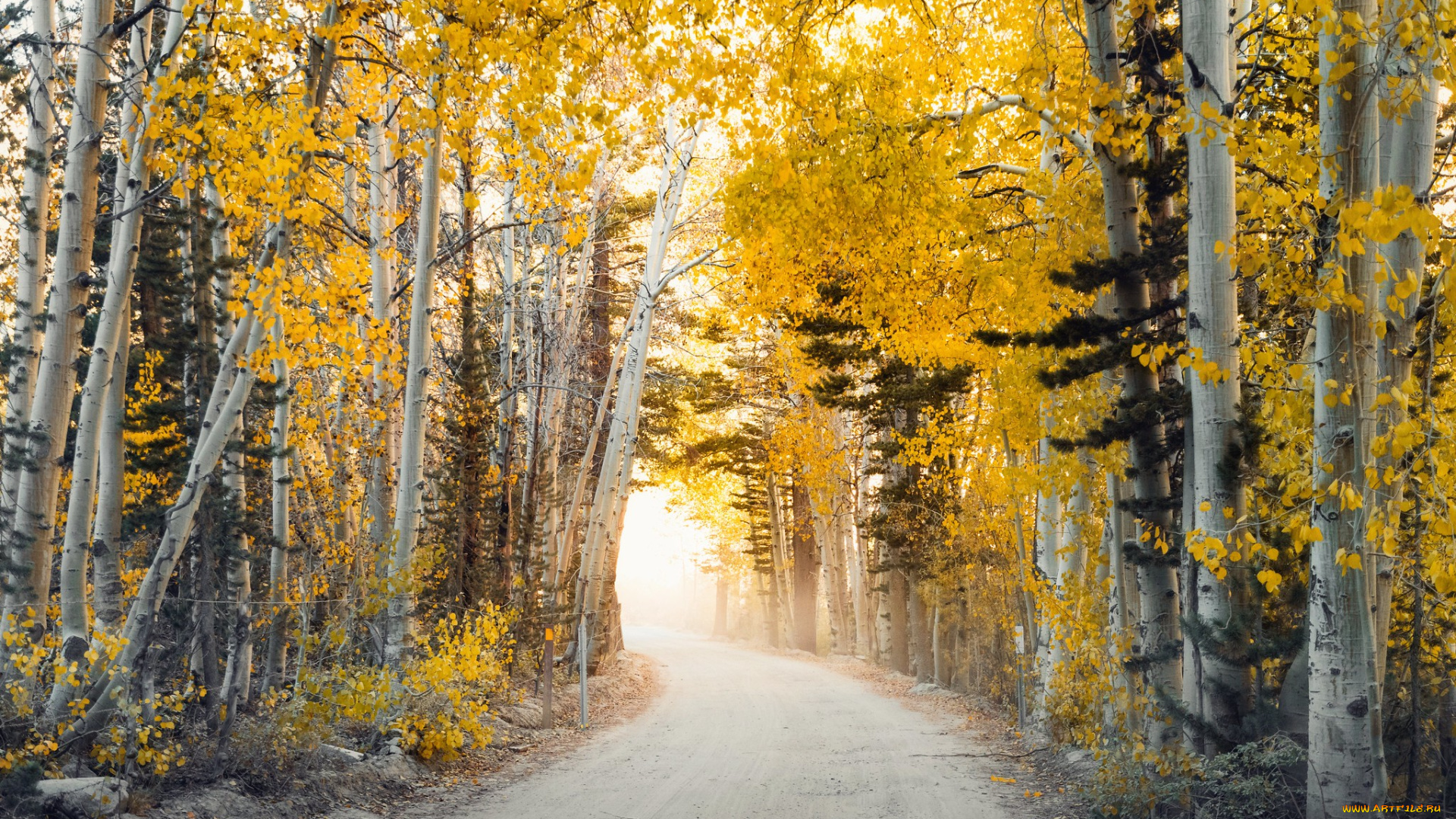 природа, дороги, простор