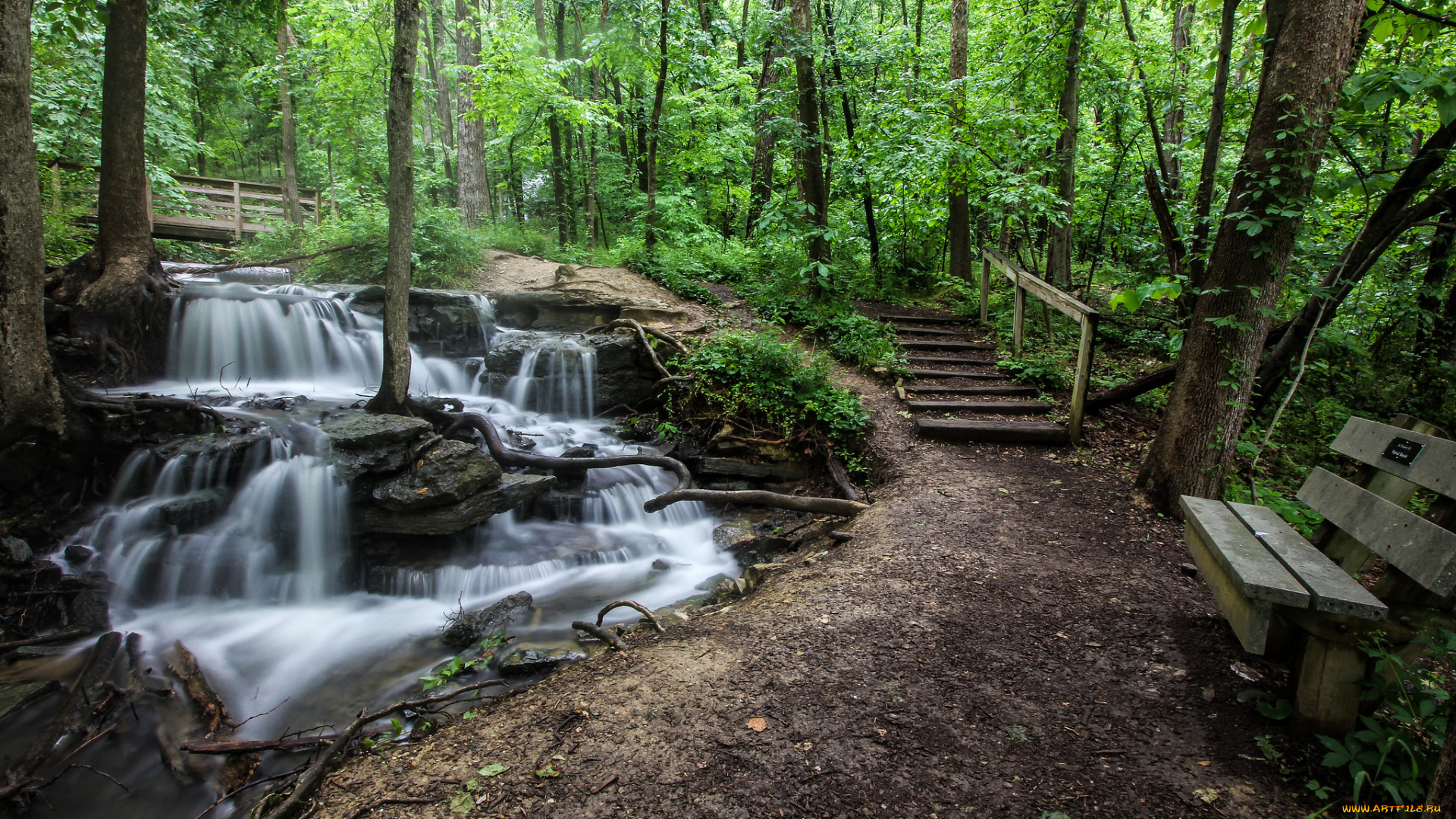 природа, дороги, простор