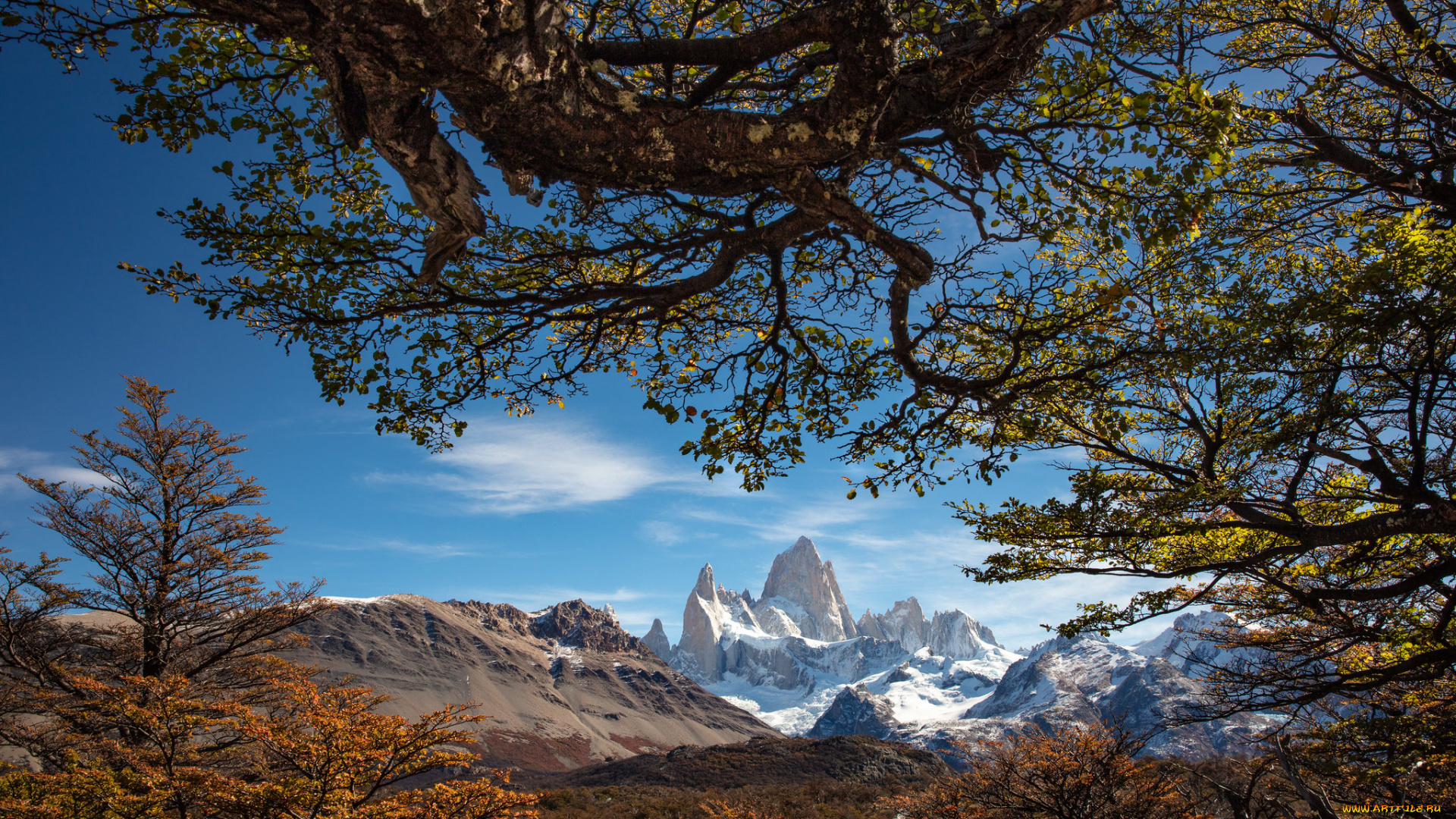 природа, горы, простор