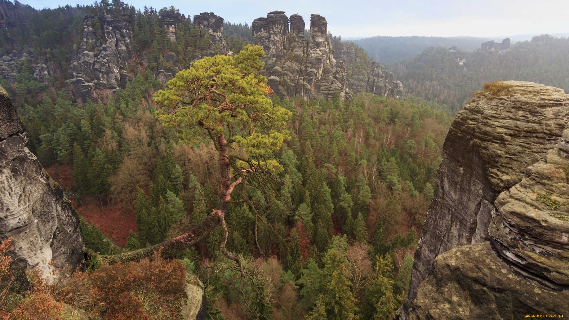 природа, горы, простор