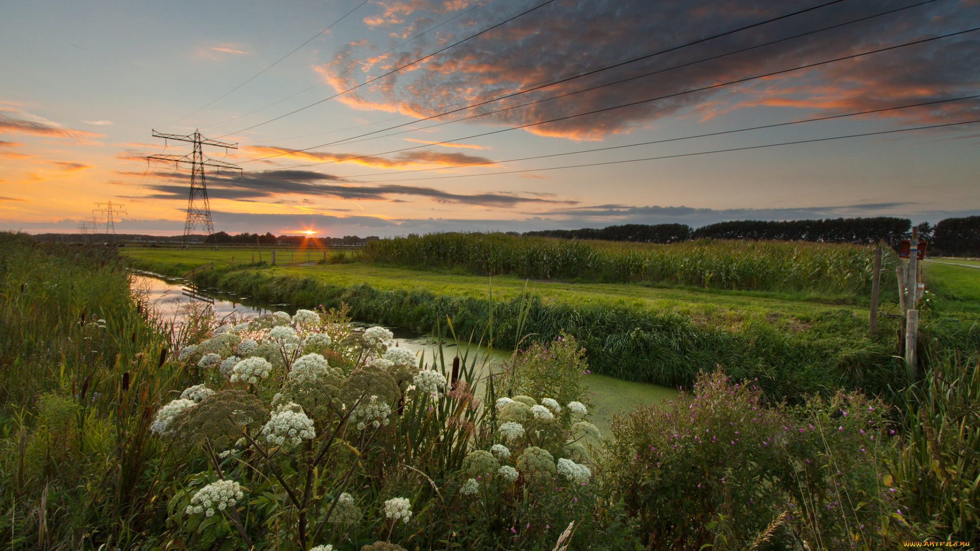 природа, пейзажи, простор