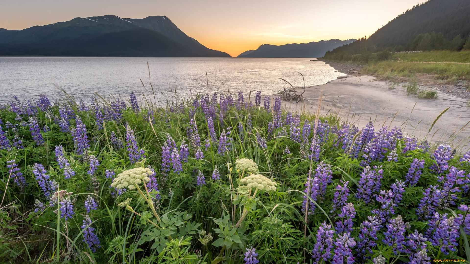 природа, побережье, простор