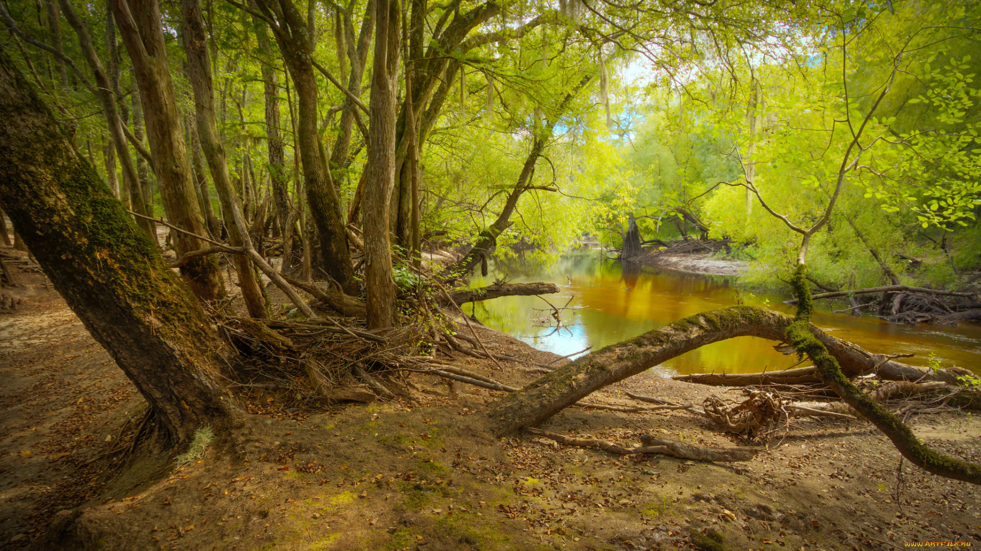 природа, реки, озера, простор