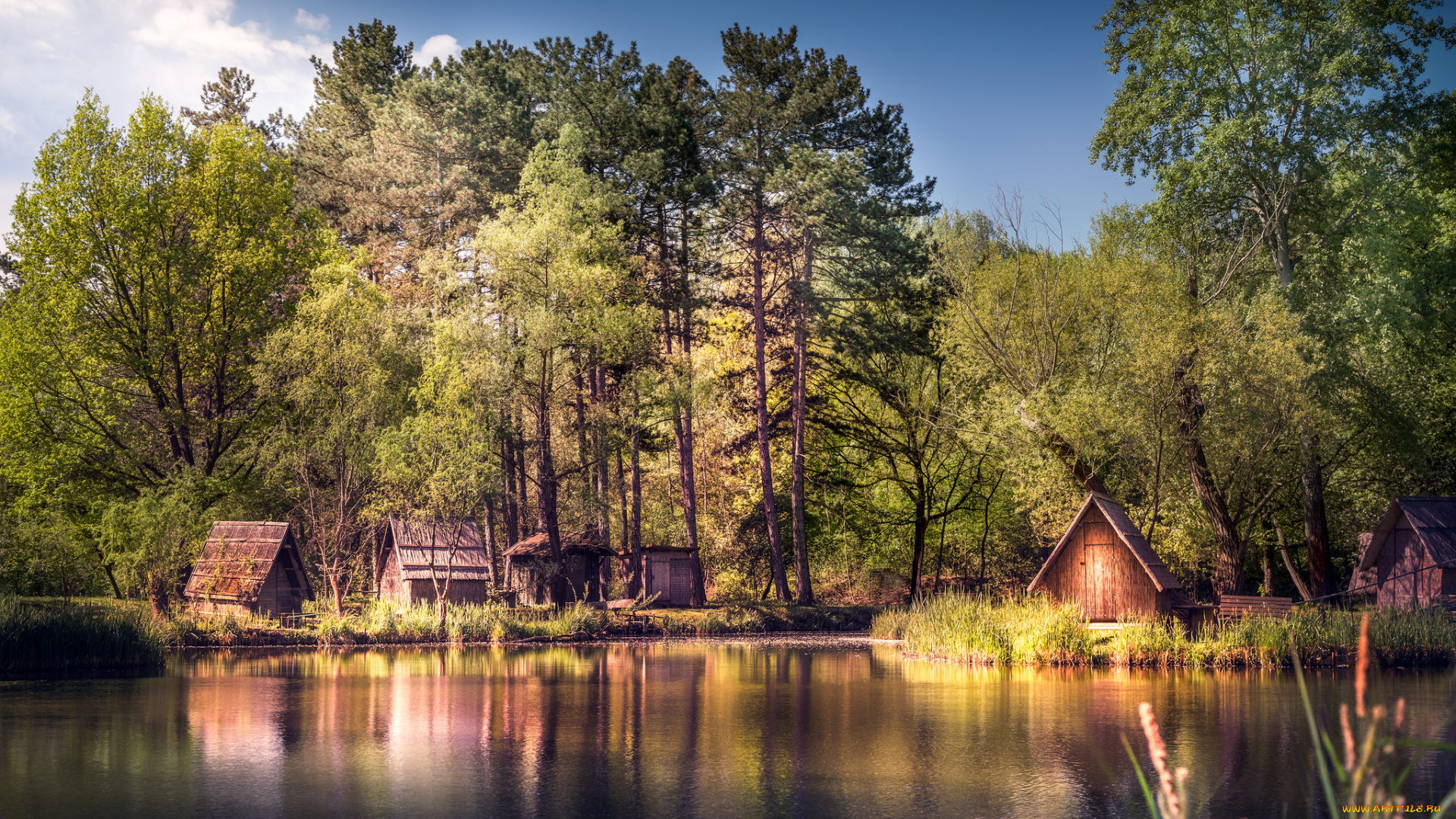 природа, реки, озера, простор