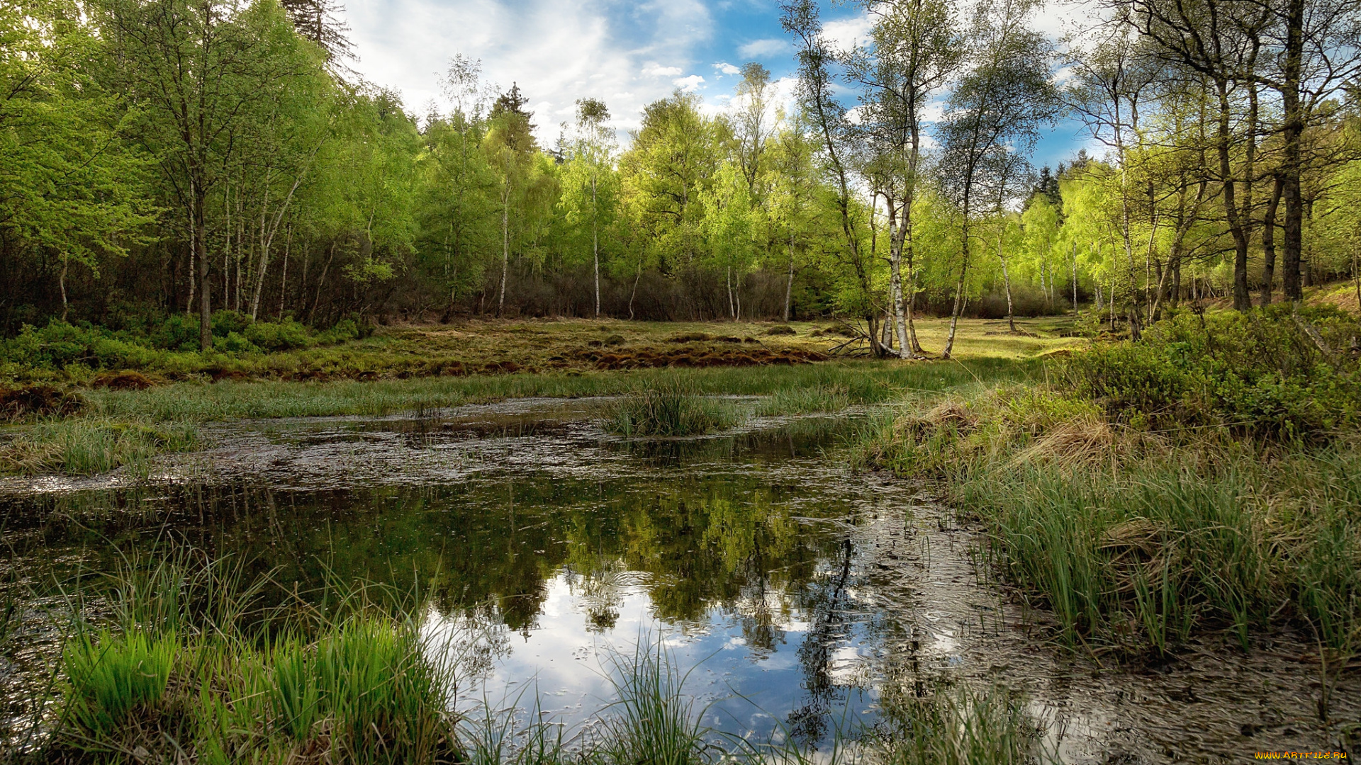 природа, реки, озера, простор