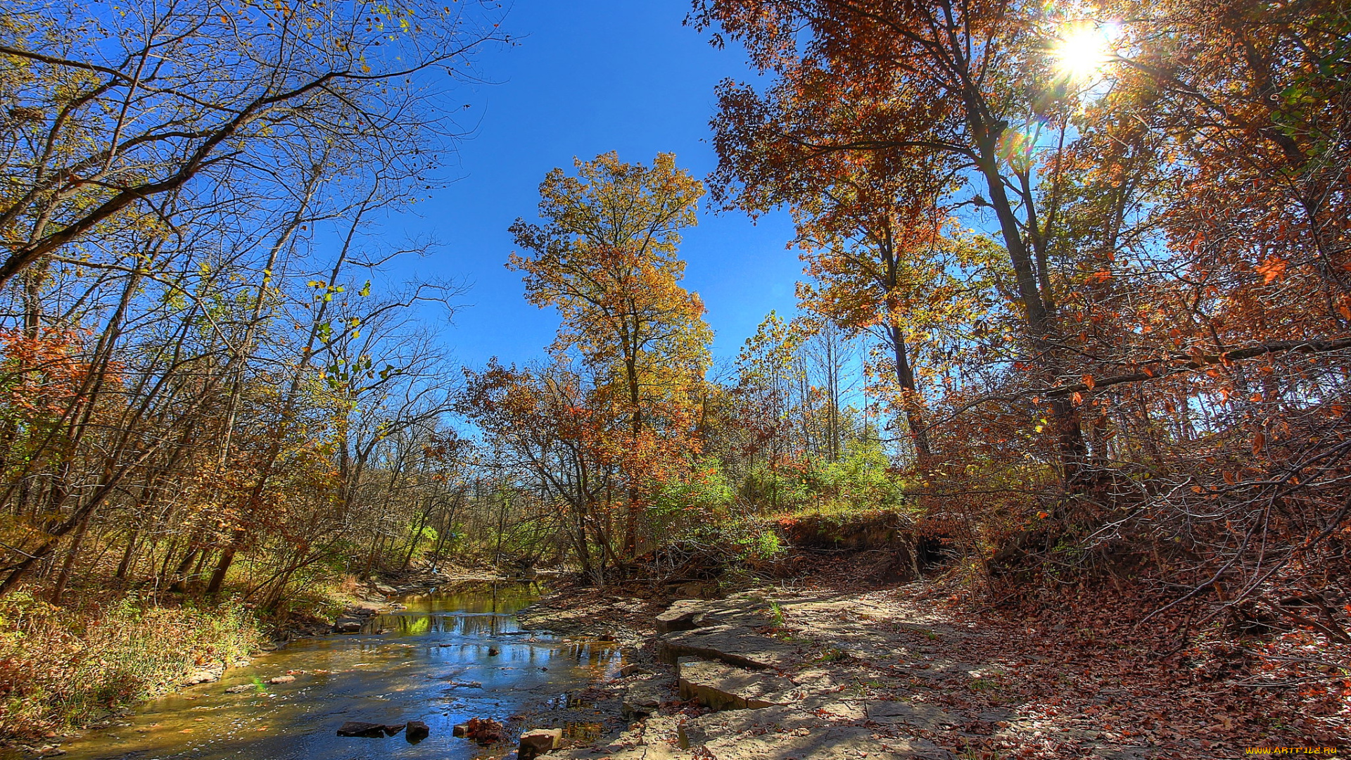 природа, реки, озера, простор