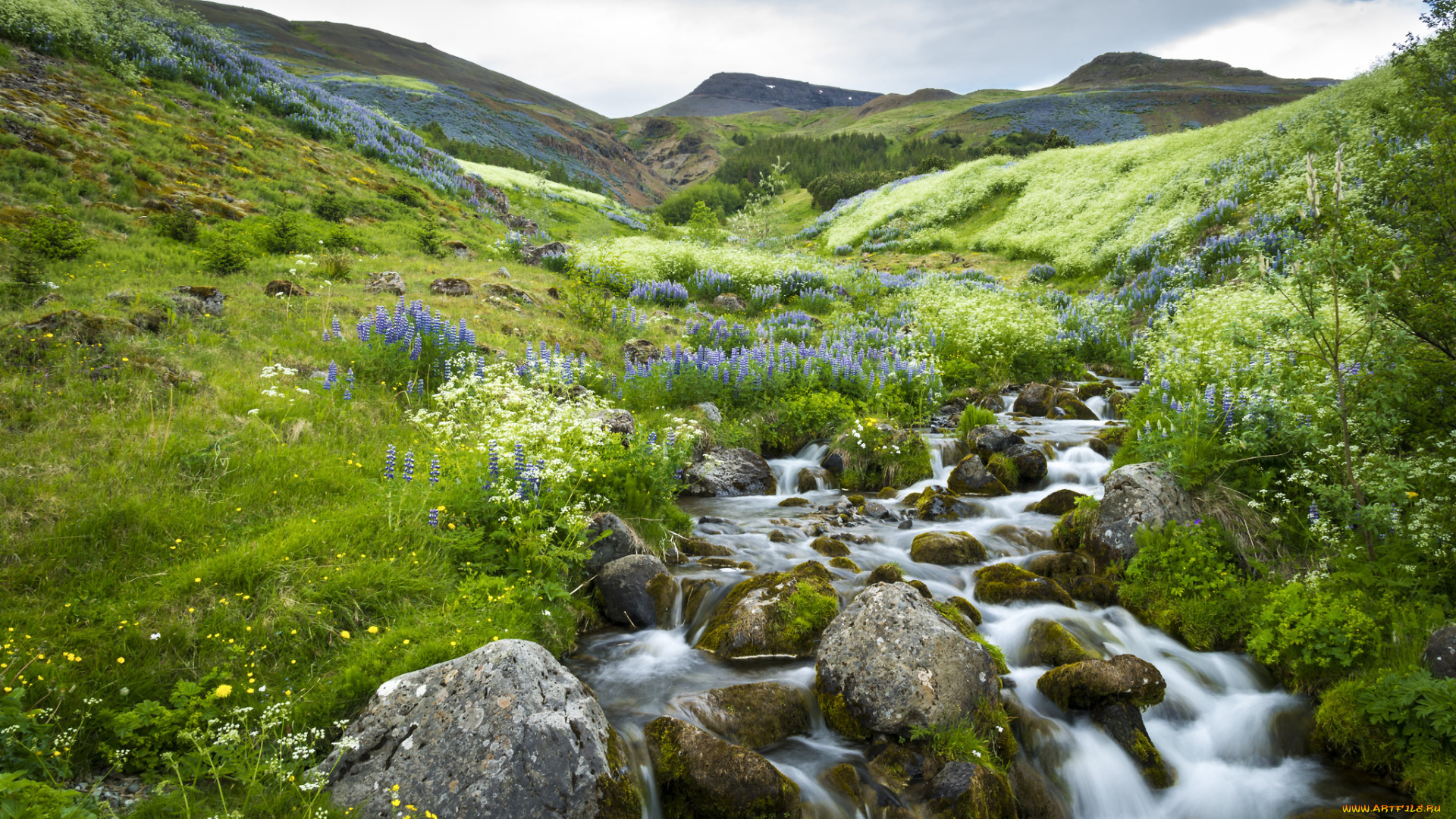 природа, реки, озера, простор