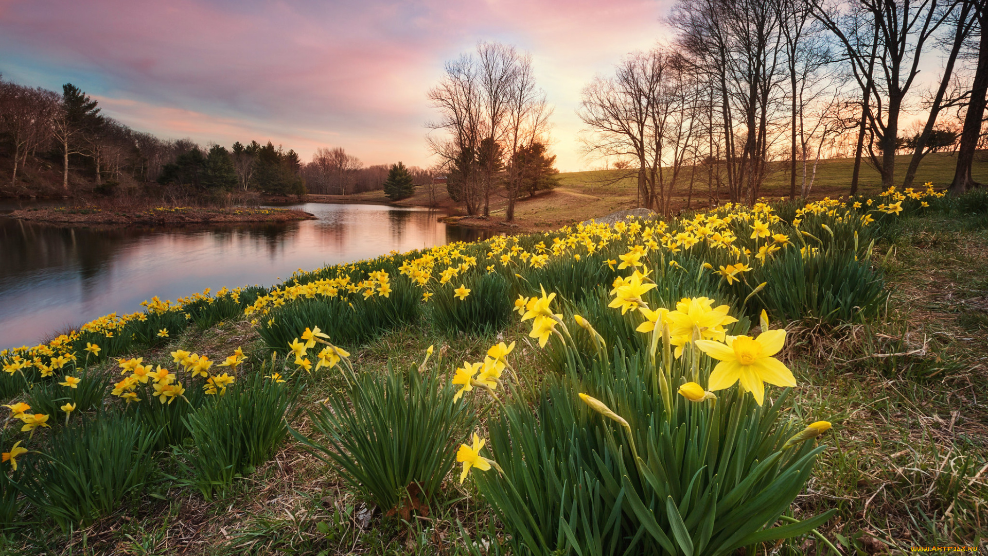 природа, реки, озера, простор