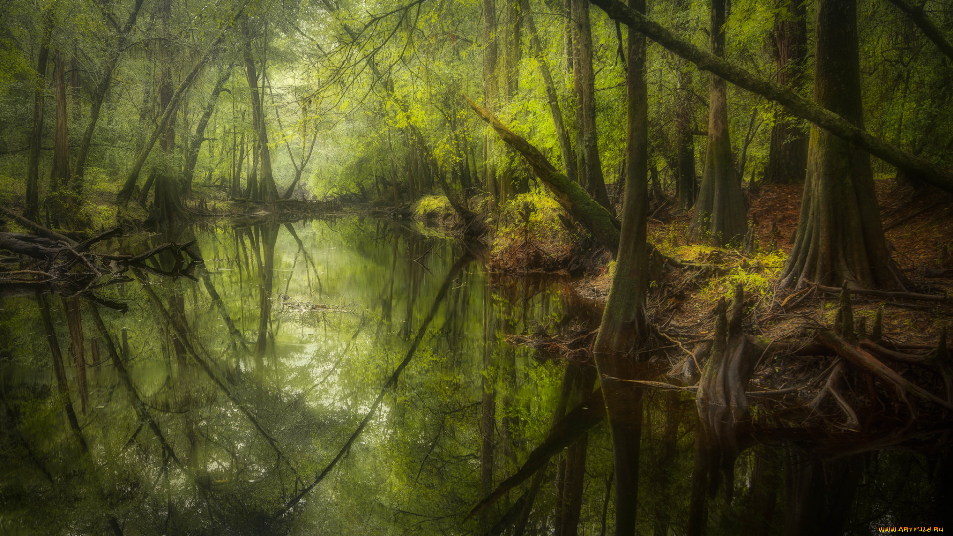 природа, реки, озера, простор