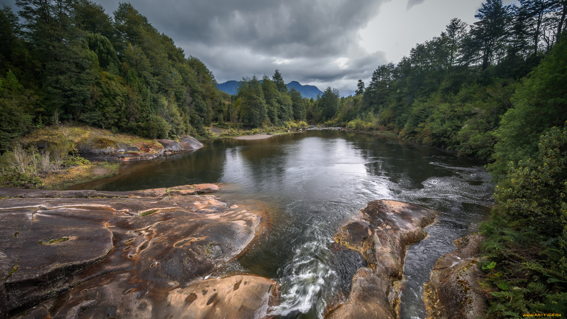 природа, реки, озера, простор