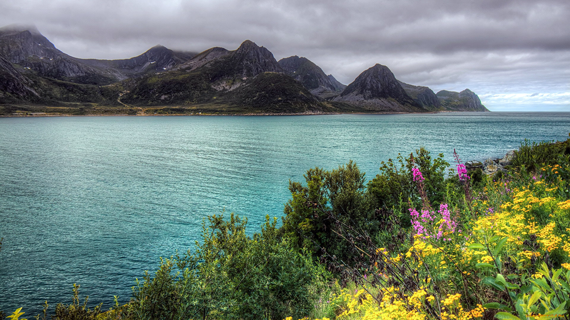 природа, реки, озера, река