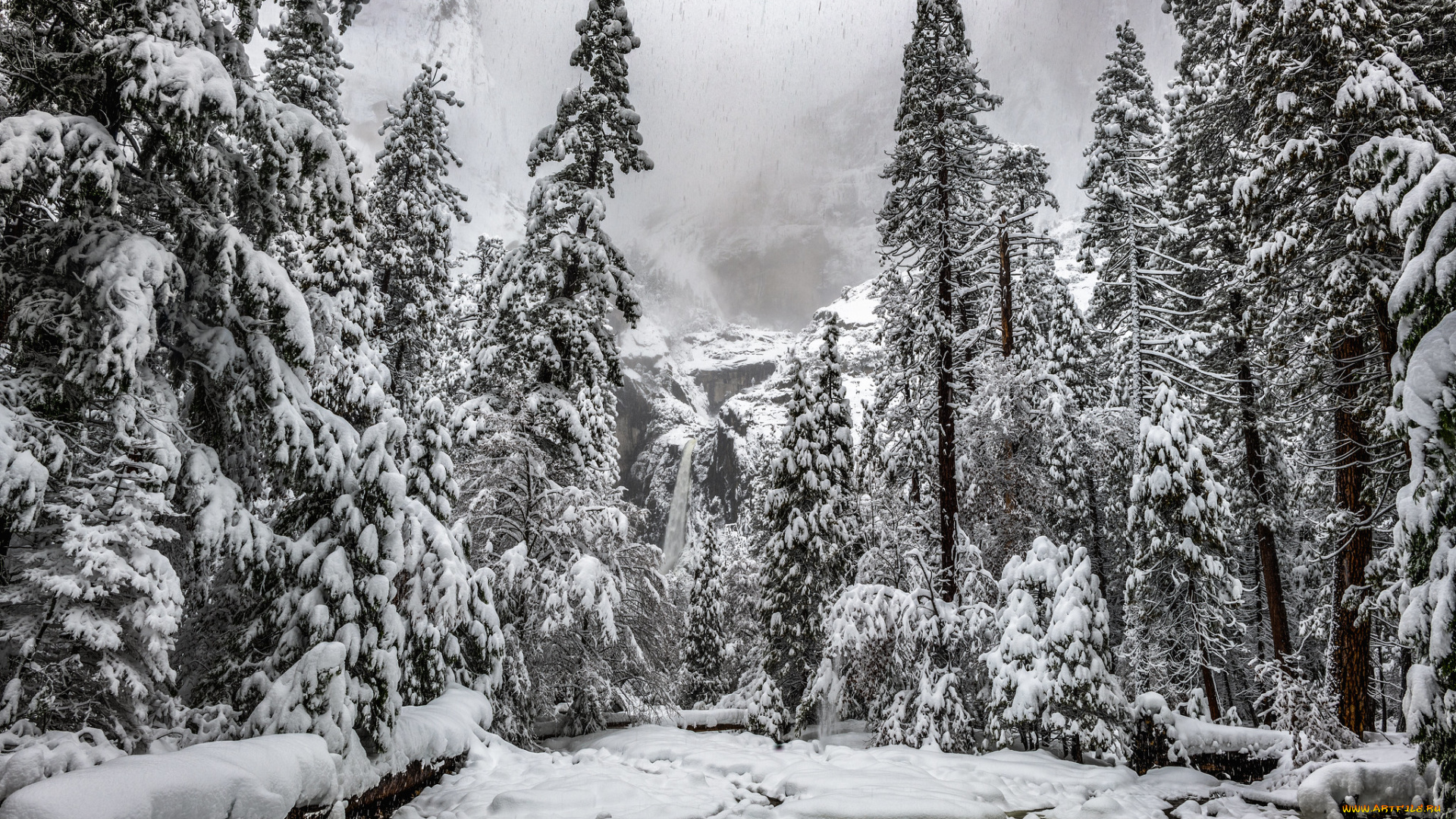 природа, зима, простор