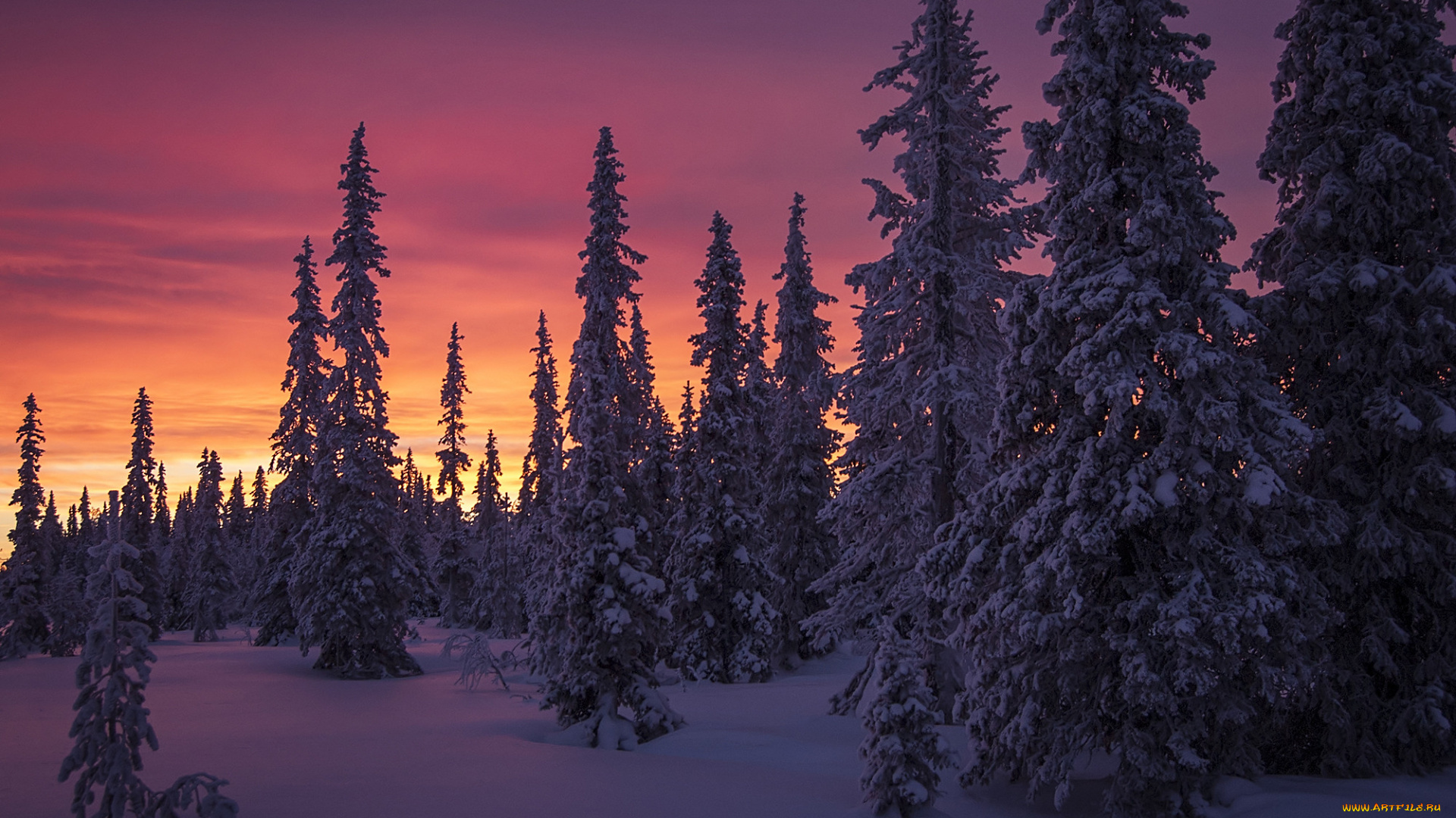 природа, зима, простор