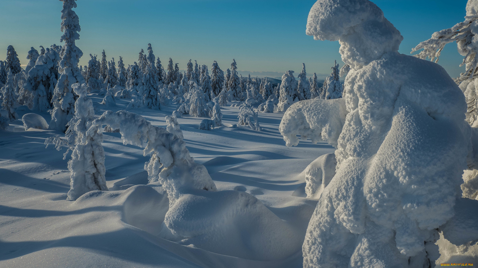 природа, зима, простор