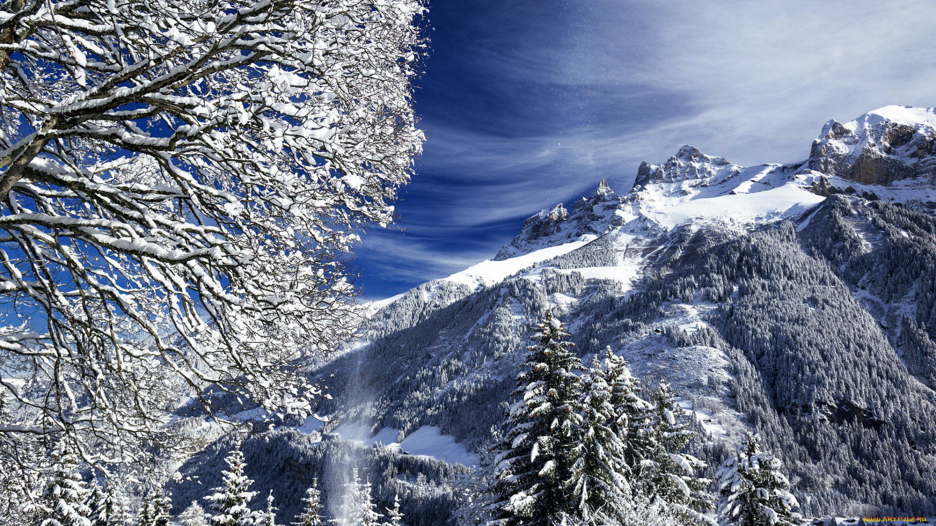 природа, зима, простор