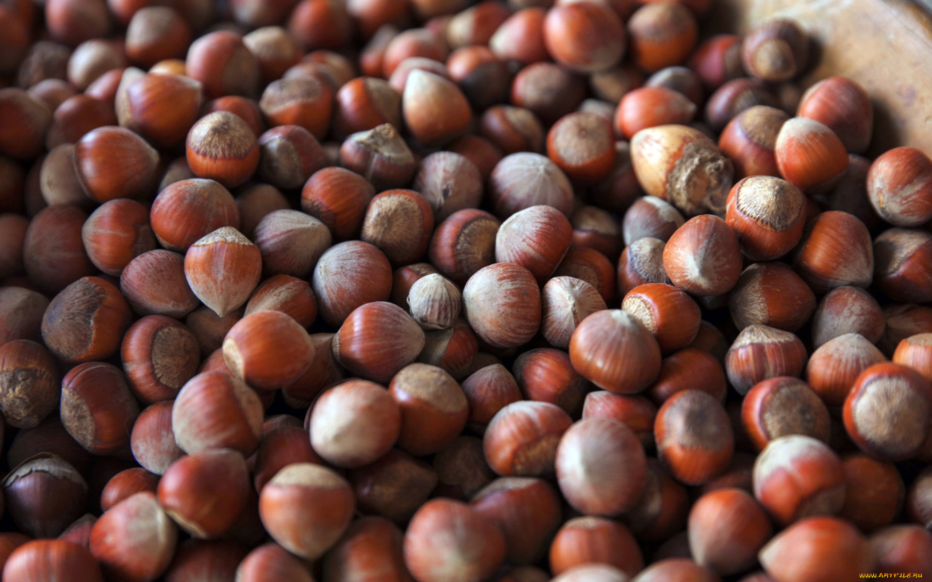 еда, орехи, , каштаны, , какао-бобы, фундук