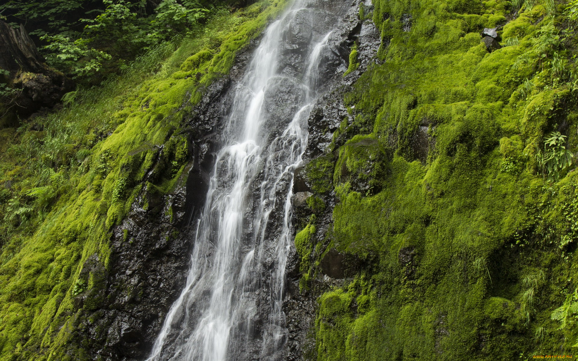 природа, водопады, поток, водопад, вода
