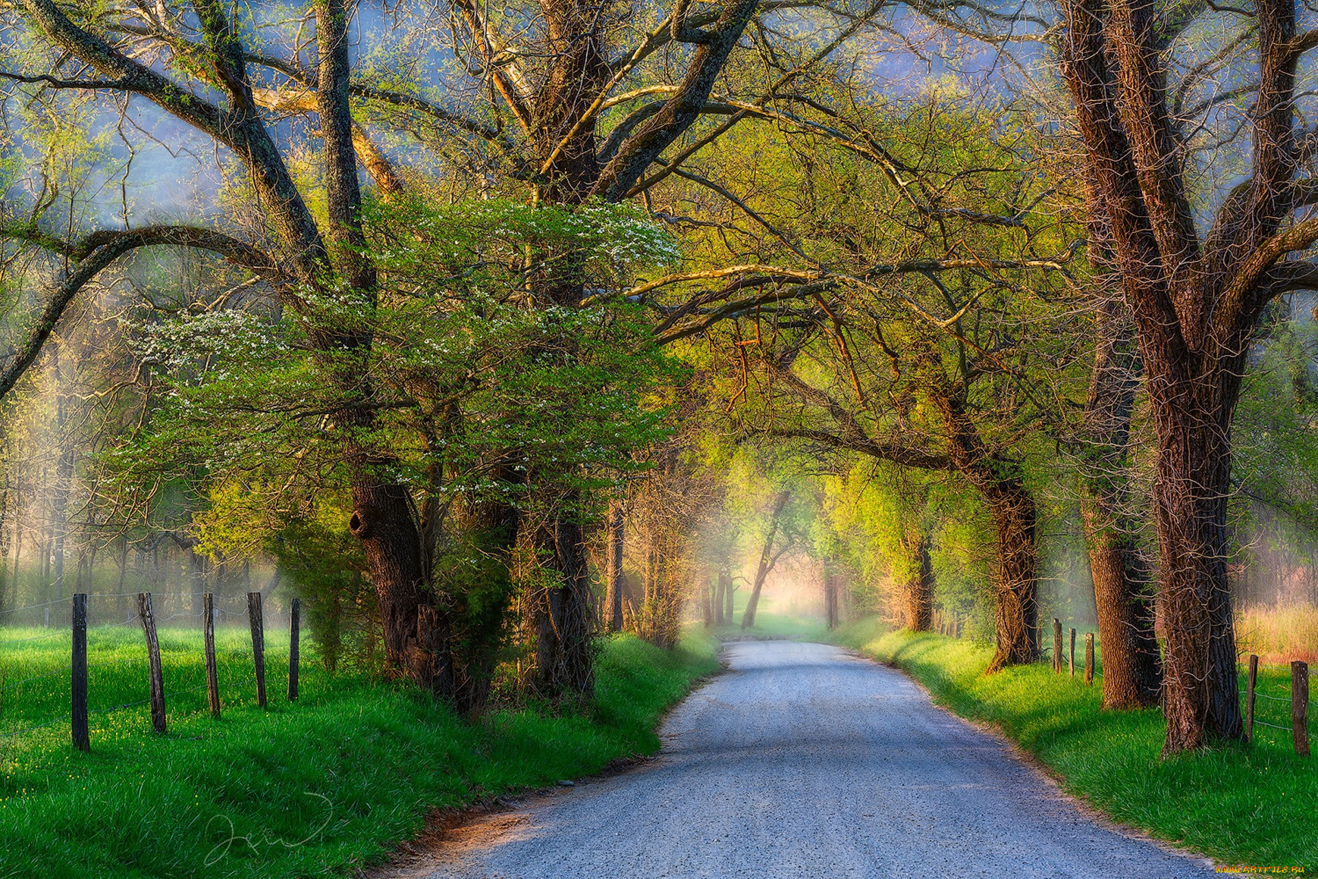 природа, дороги, простор