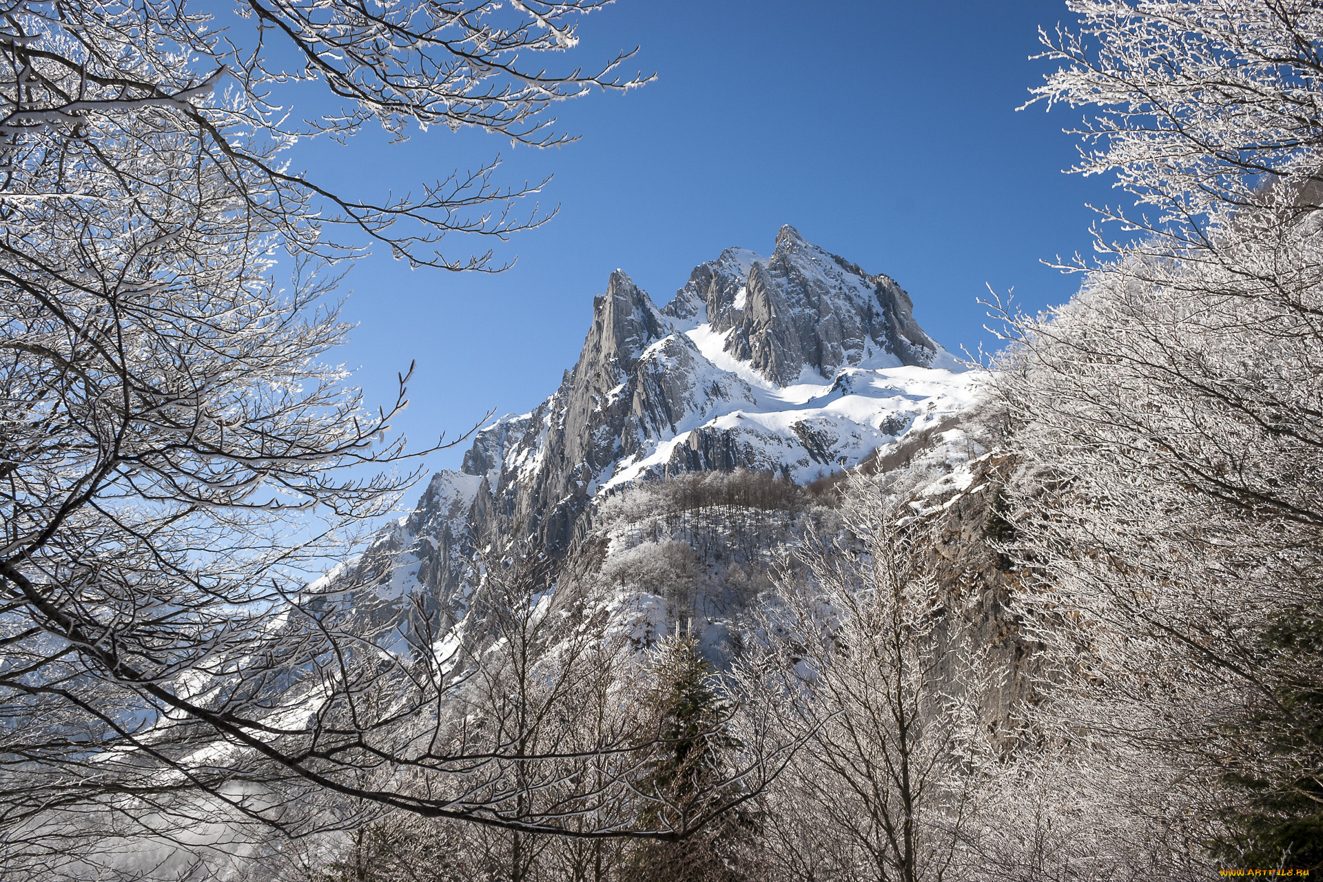 природа, горы, простор