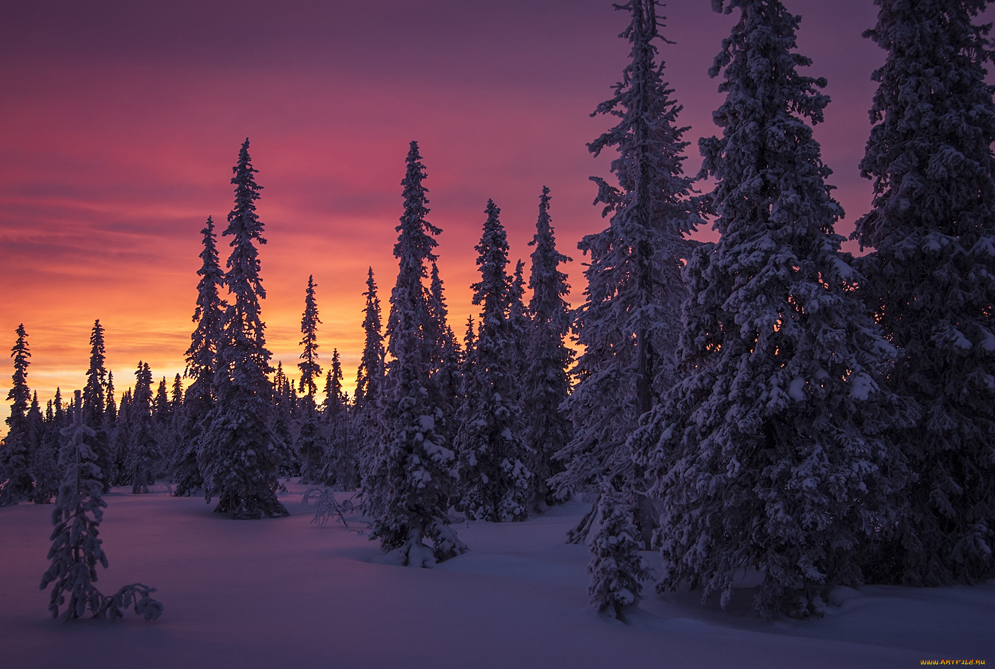 природа, зима, простор