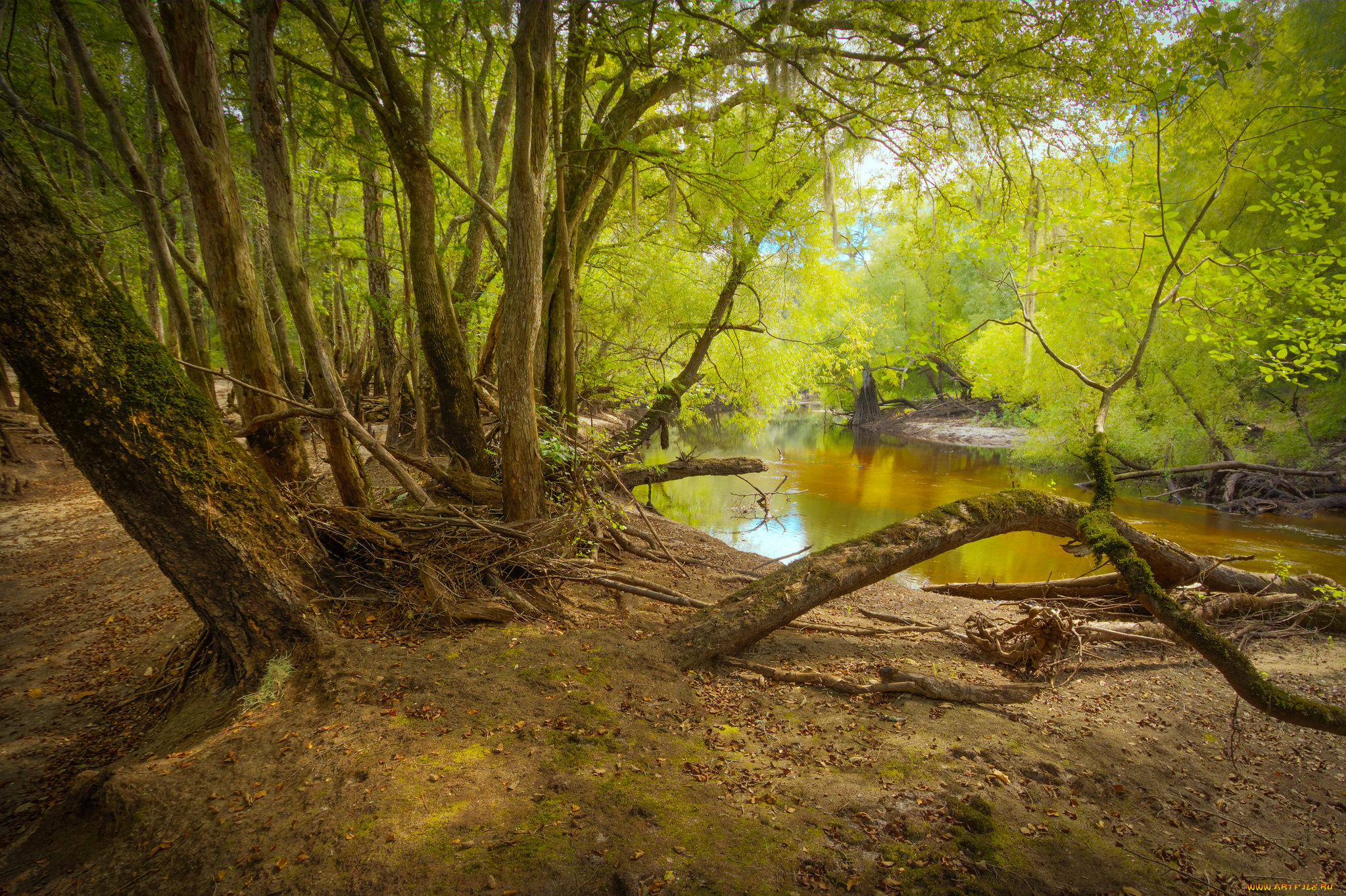 природа, реки, озера, простор