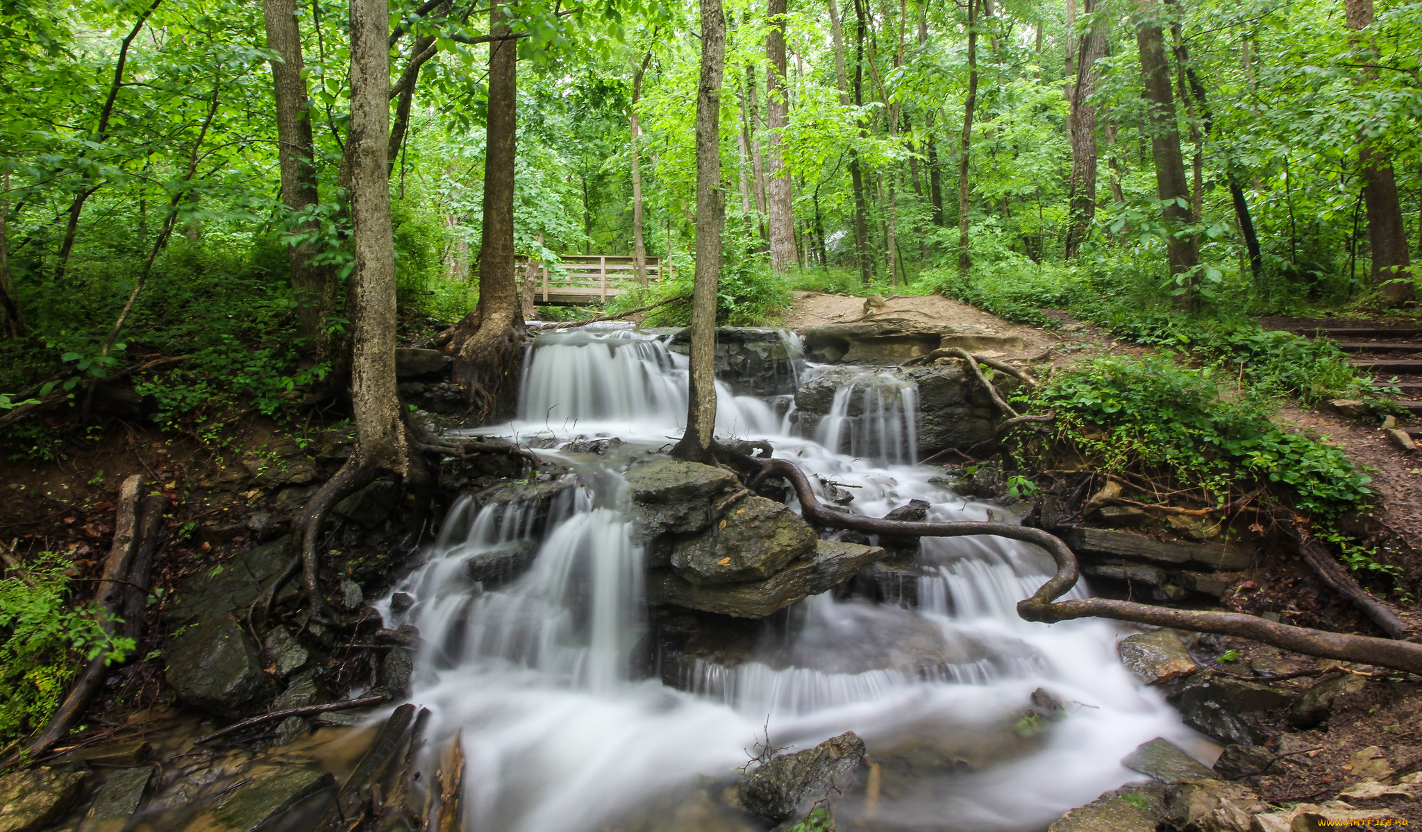 природа, реки, озера, простор