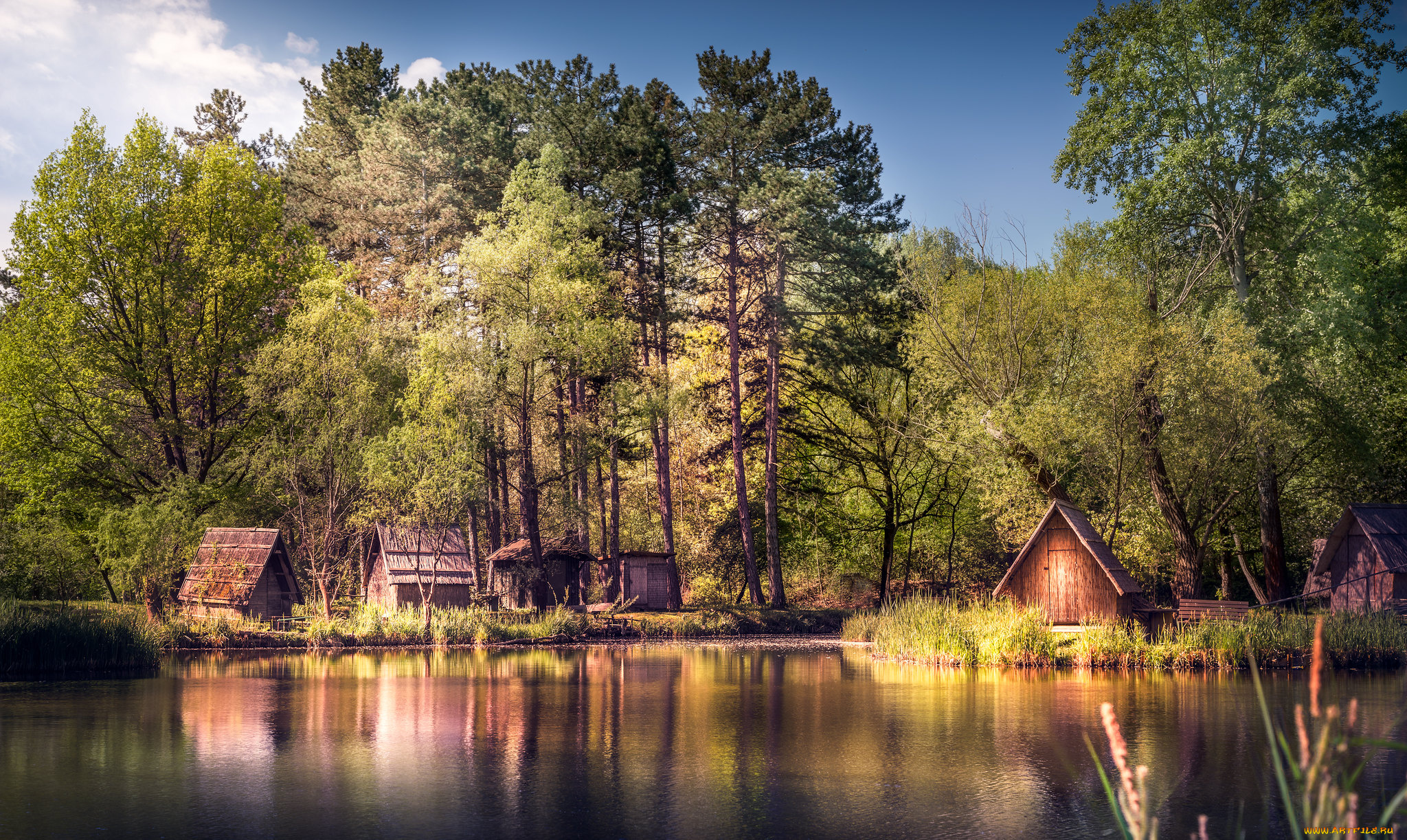 природа, реки, озера, простор