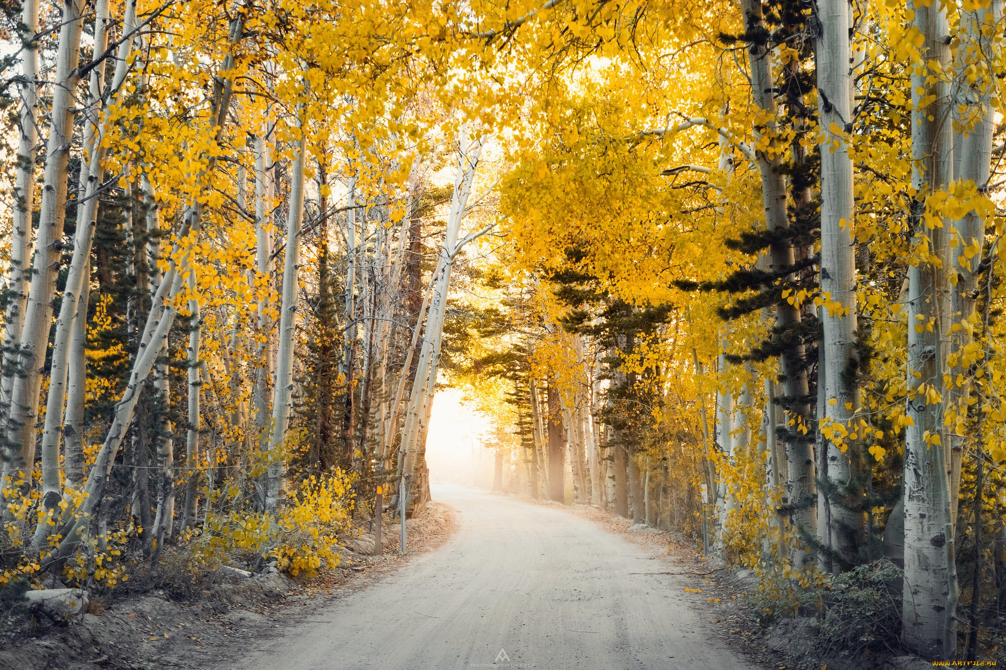 природа, дороги, простор