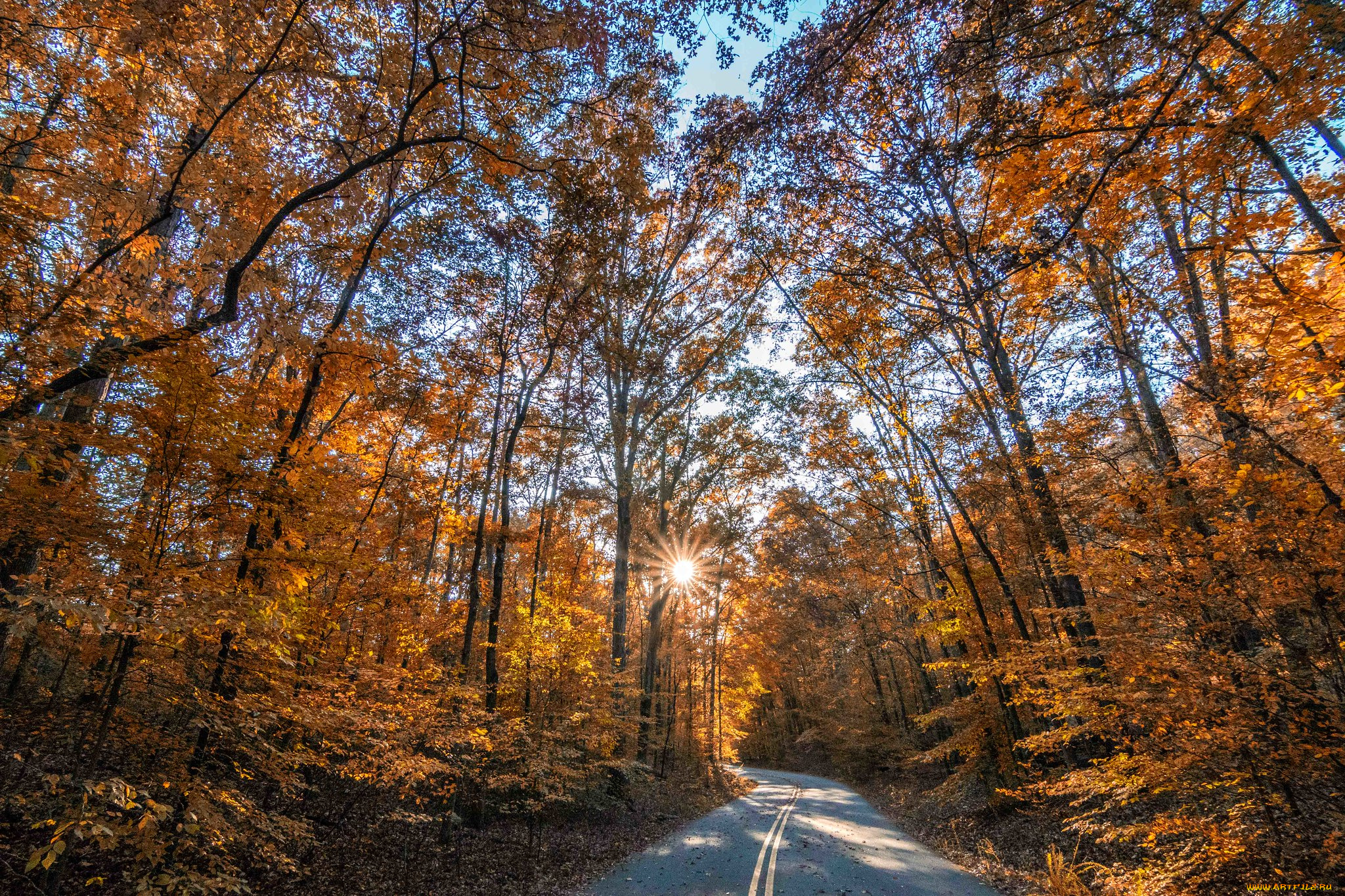 природа, дороги, простор